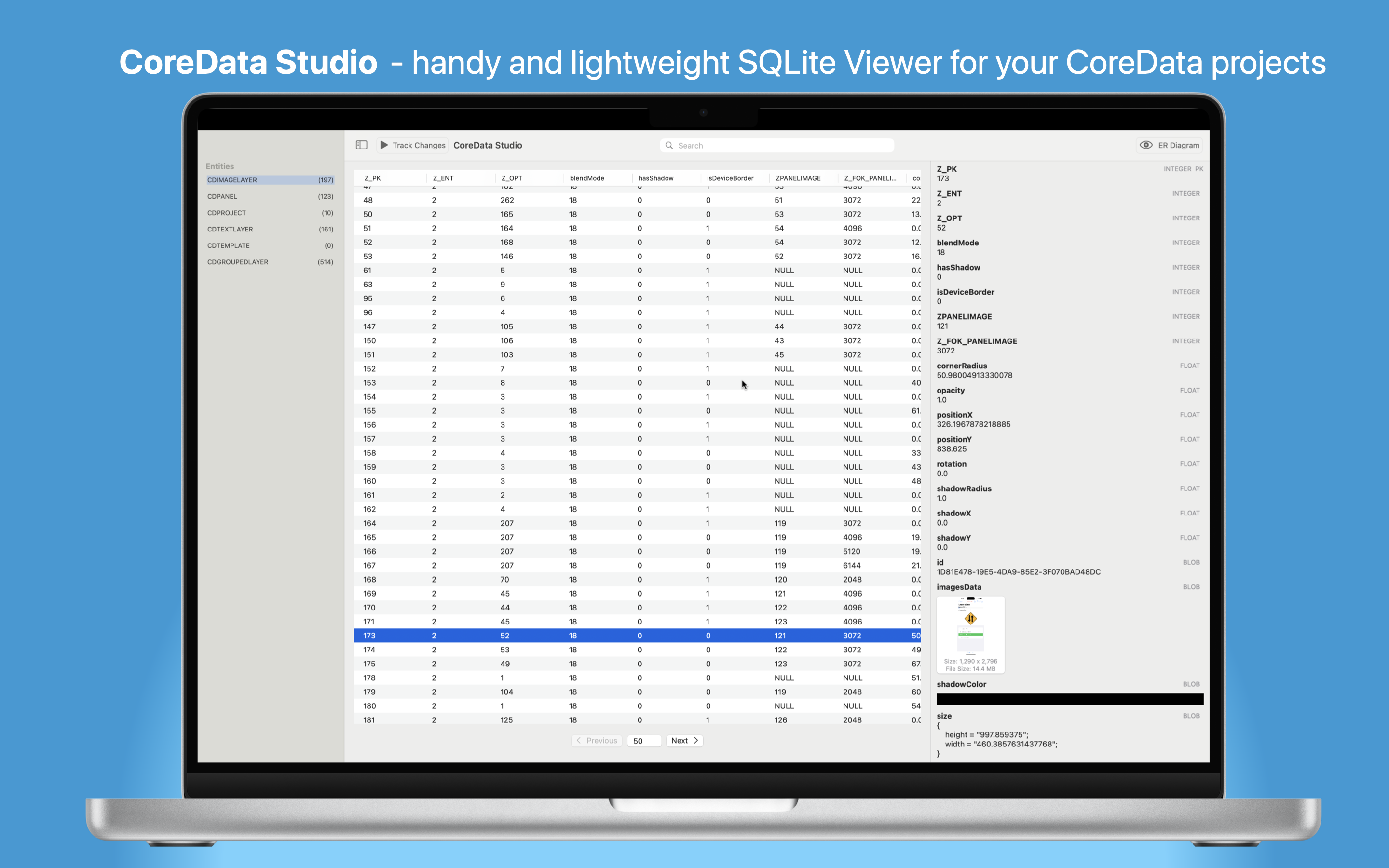 Lightweight DBViewer