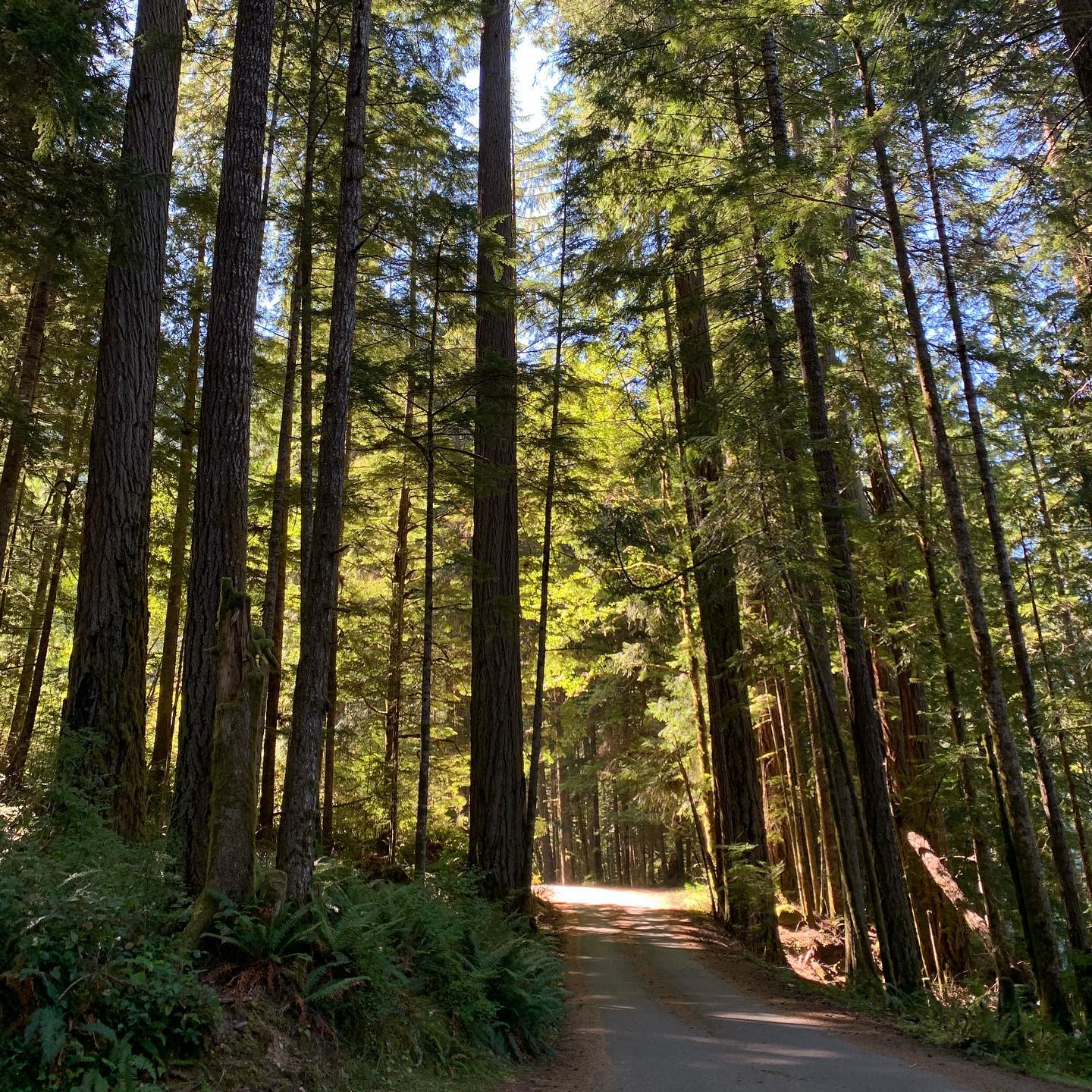 Crescent Lake. Sol Duc Trailhead 2