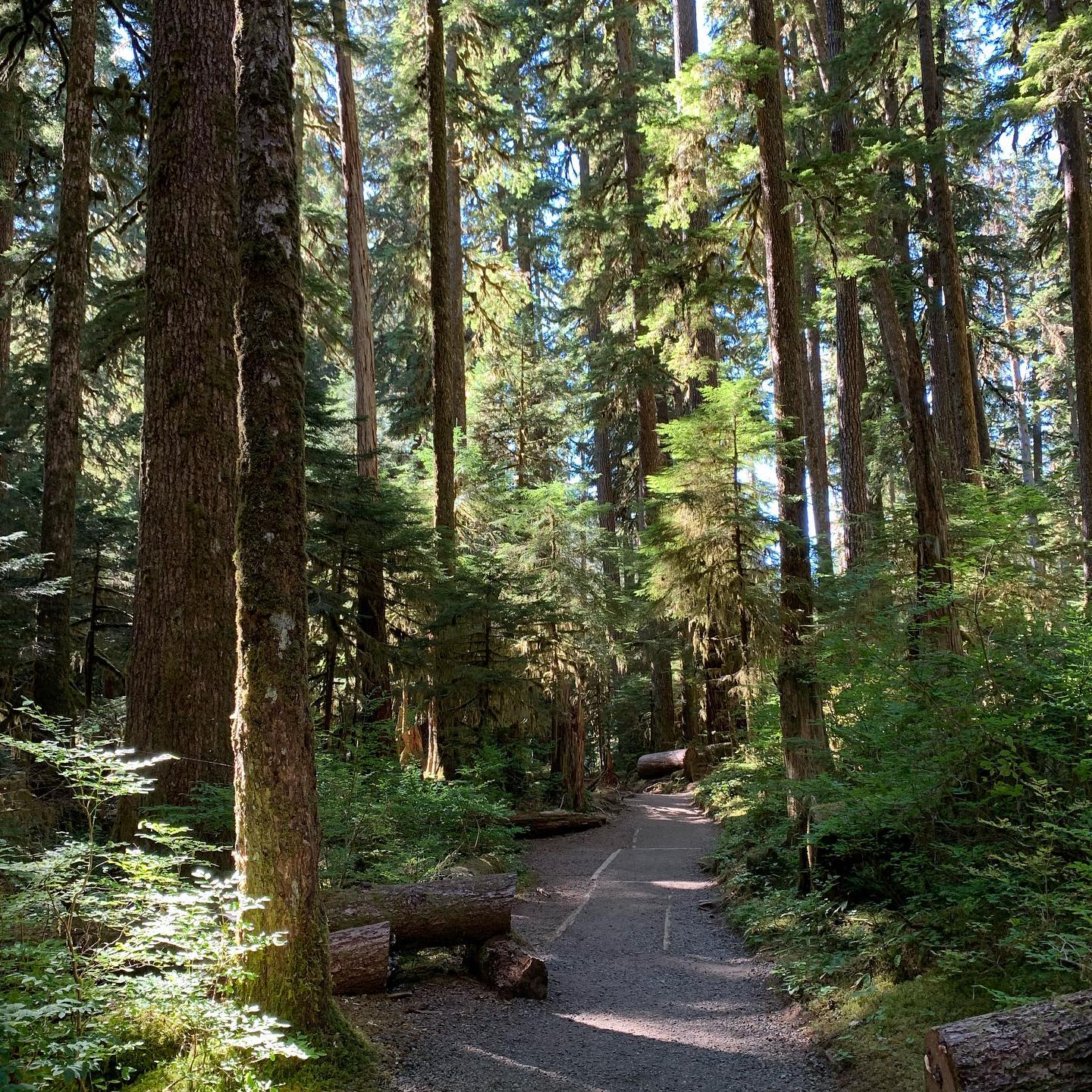 Crescent Lake. Sol Duc Trailhead 3