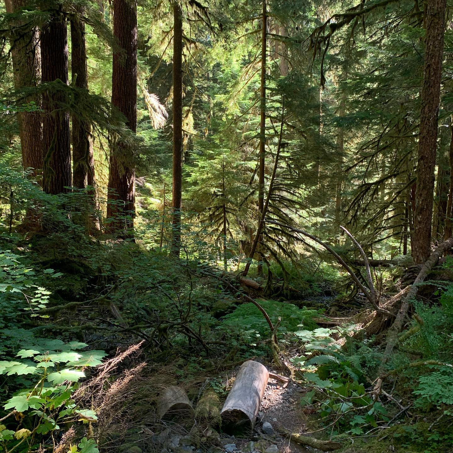 Crescent Lake. Sol Duc Trailhead 4