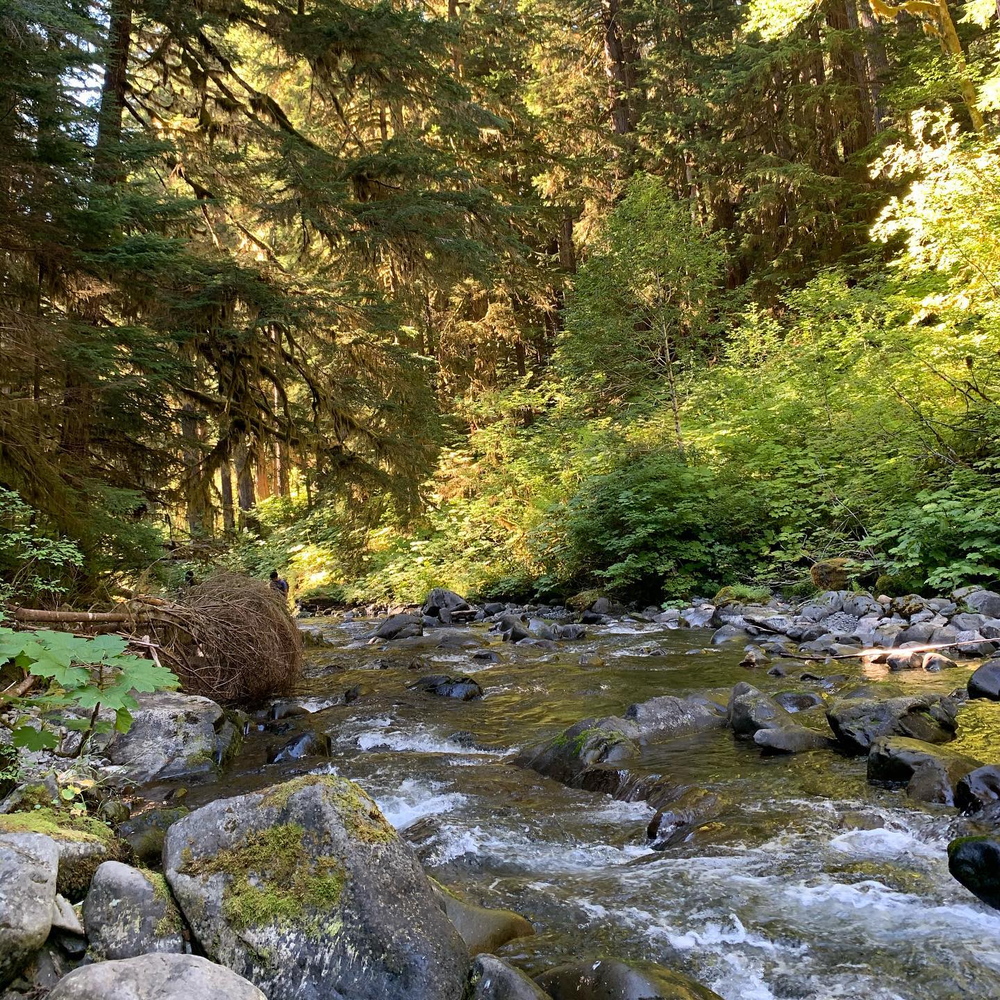 Crescent Lake. Sol Duc Trailhead 5