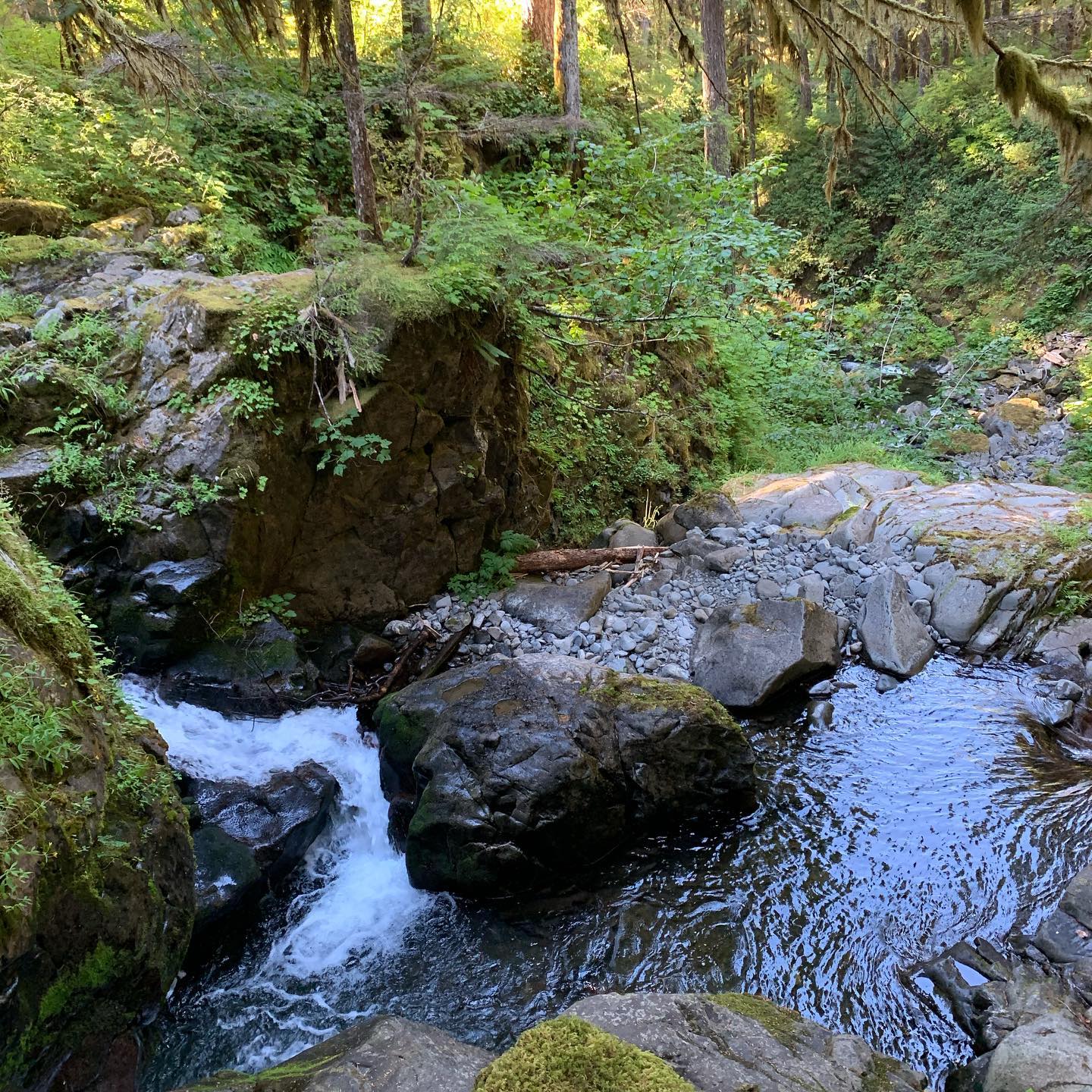 Crescent Lake. Sol Duc Trailhead 7
