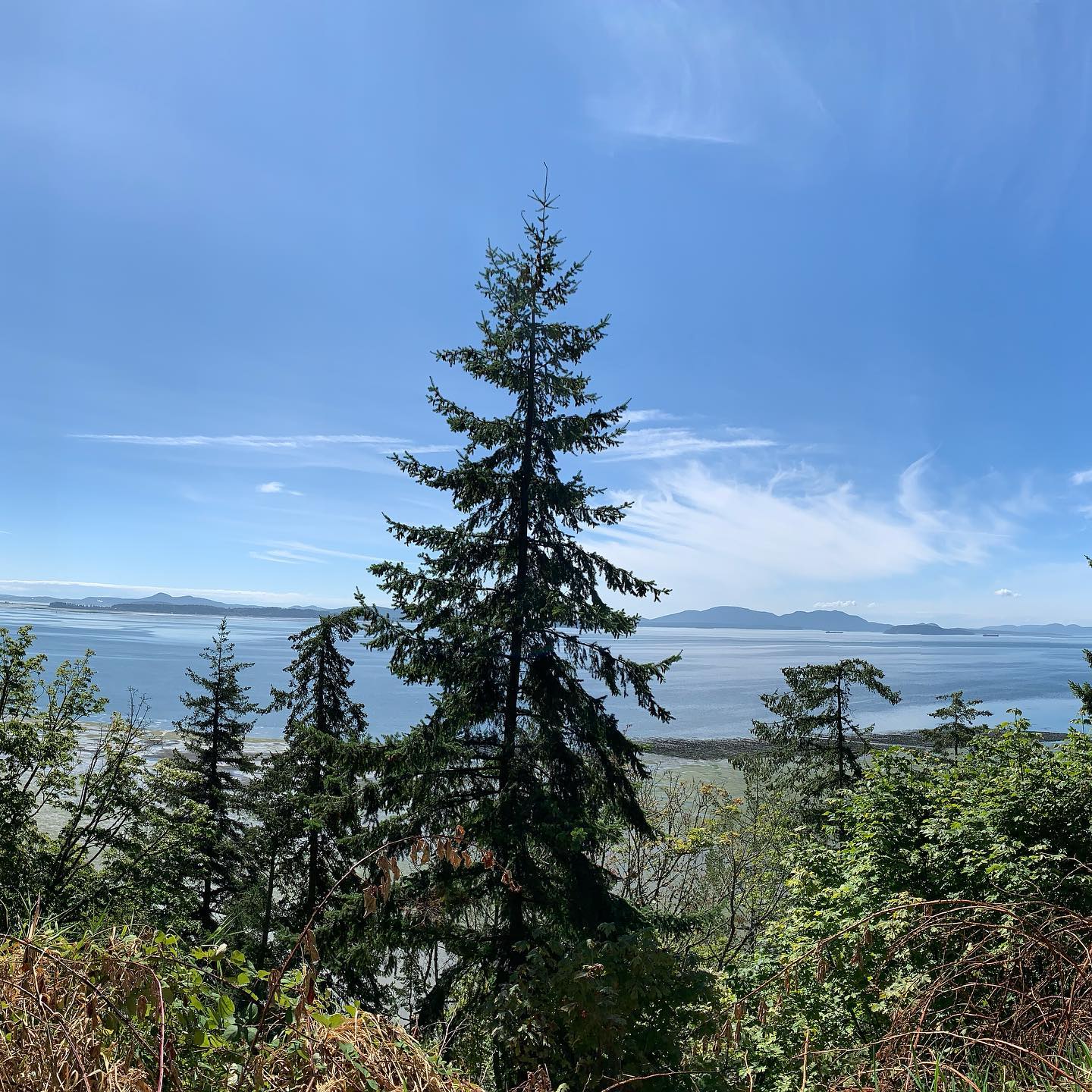fairhaven-is-the-coziest-town-in-washington-state 6