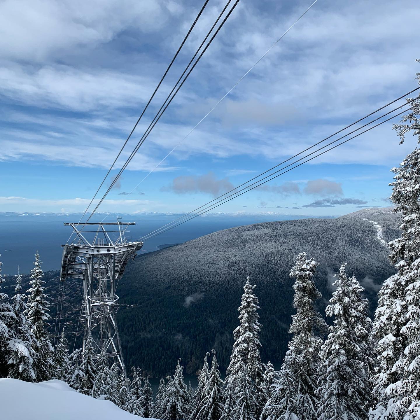Grouse Mountain - the Peak of Vancouver, BC 2