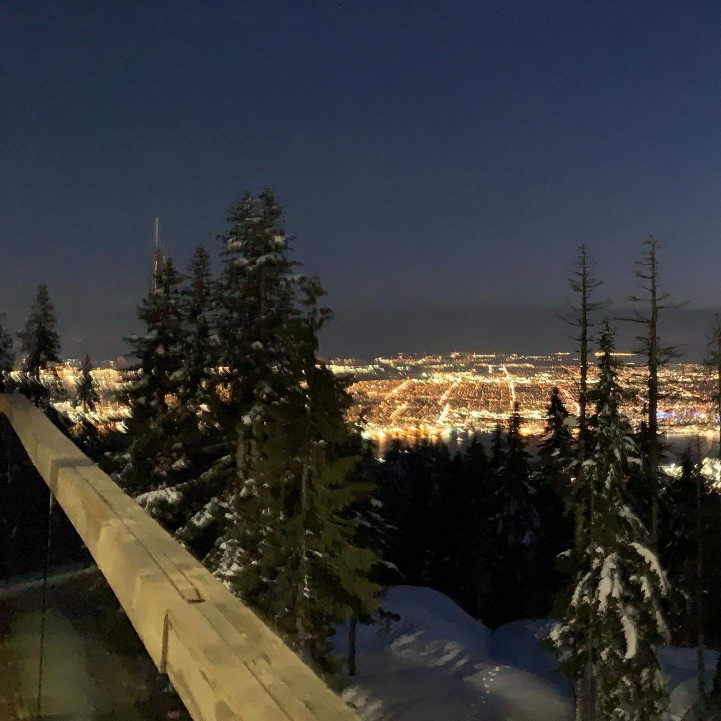 Grouse Mountain - the Peak of Vancouver, BC 6