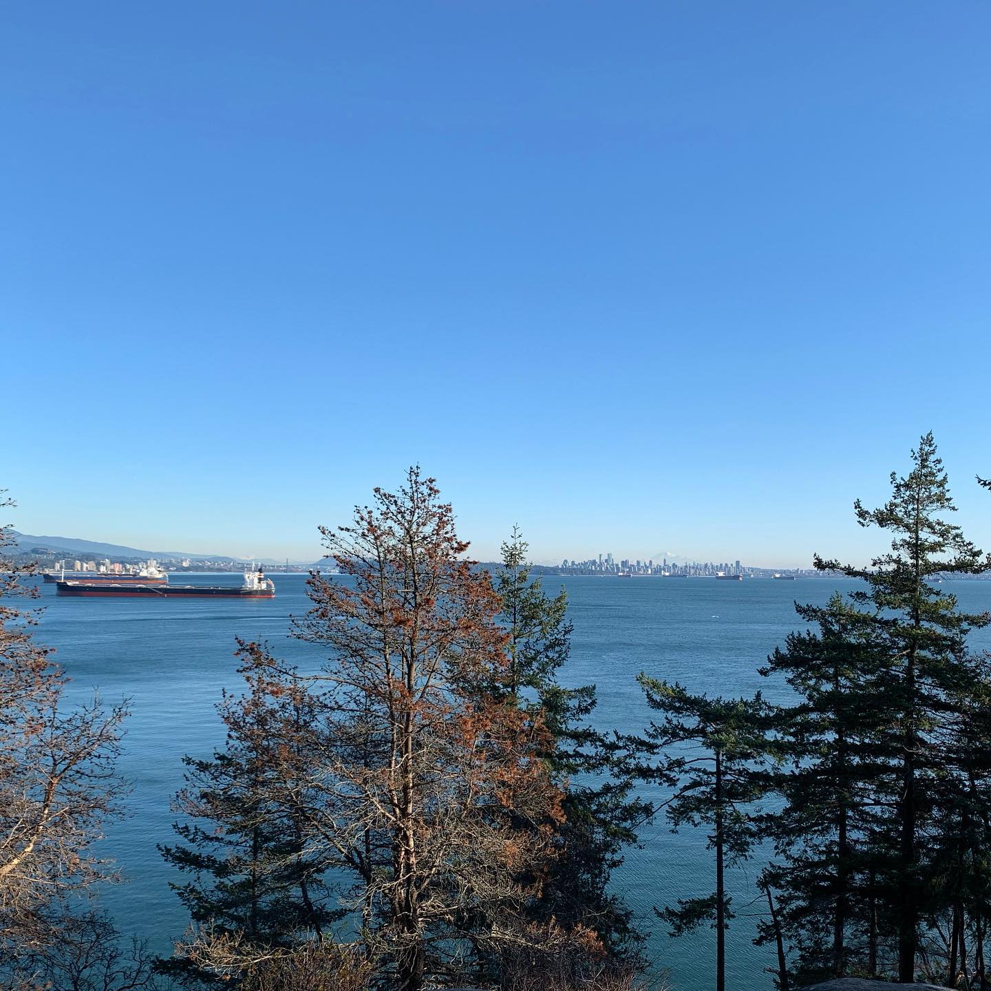 Horseshoe Bay, British Columbia, Canada 2