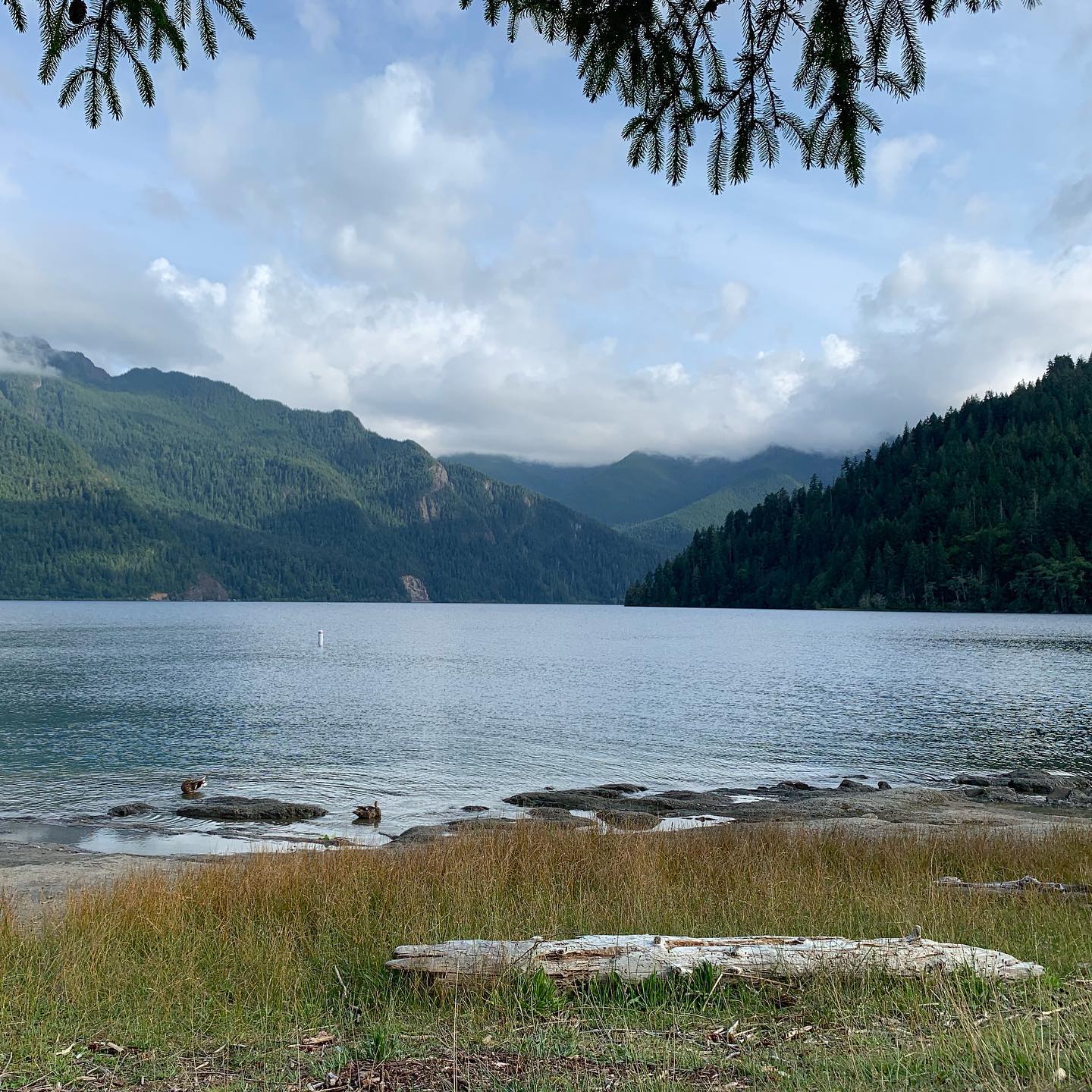 Lake Crescent, WA