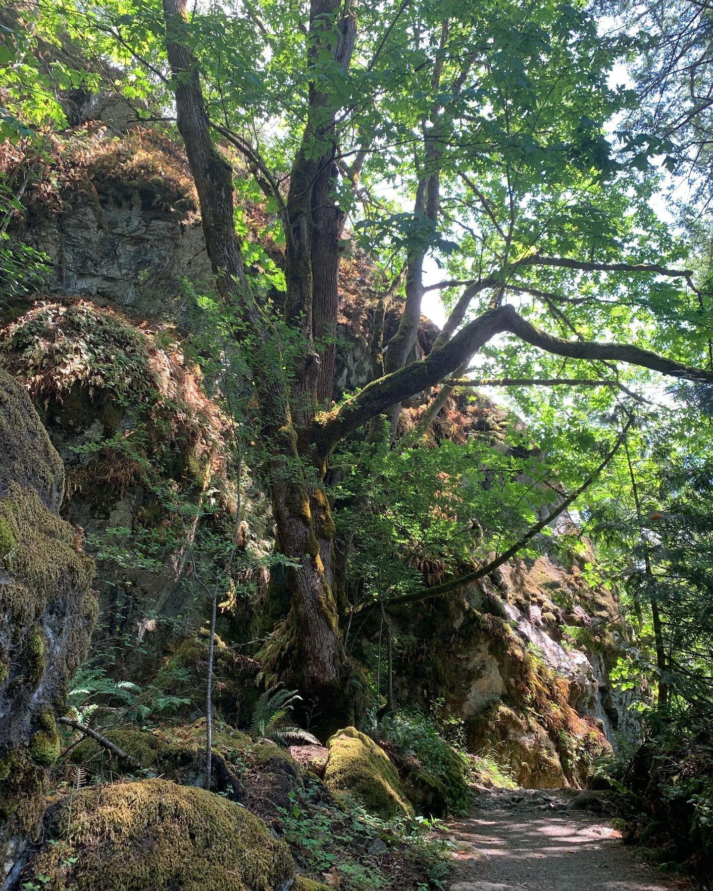 Mount Little Si 2, WA