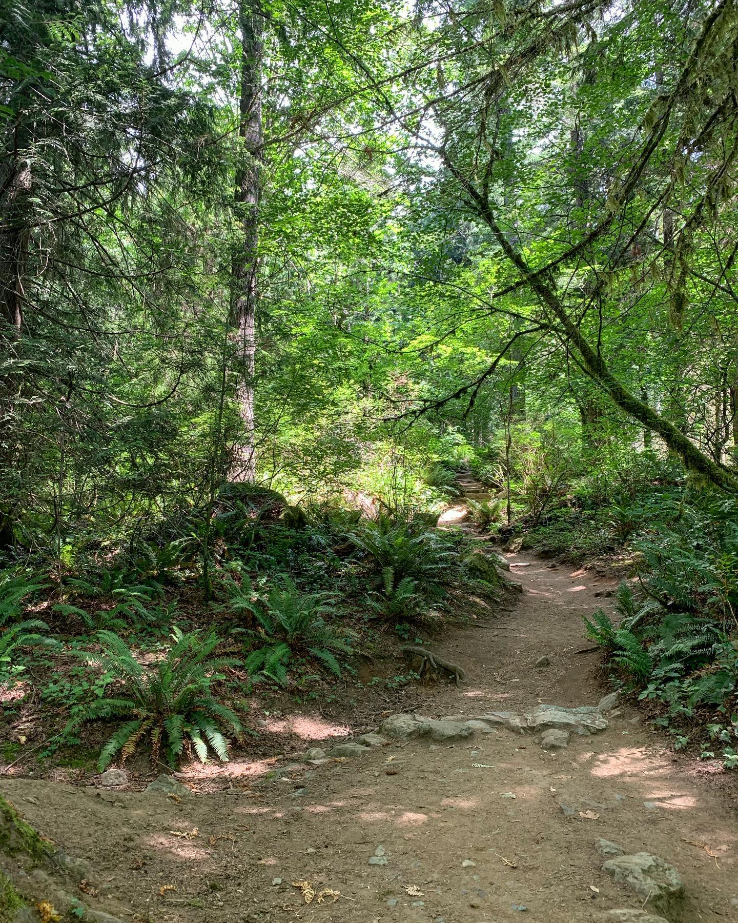 Mount Little Si 3, WA