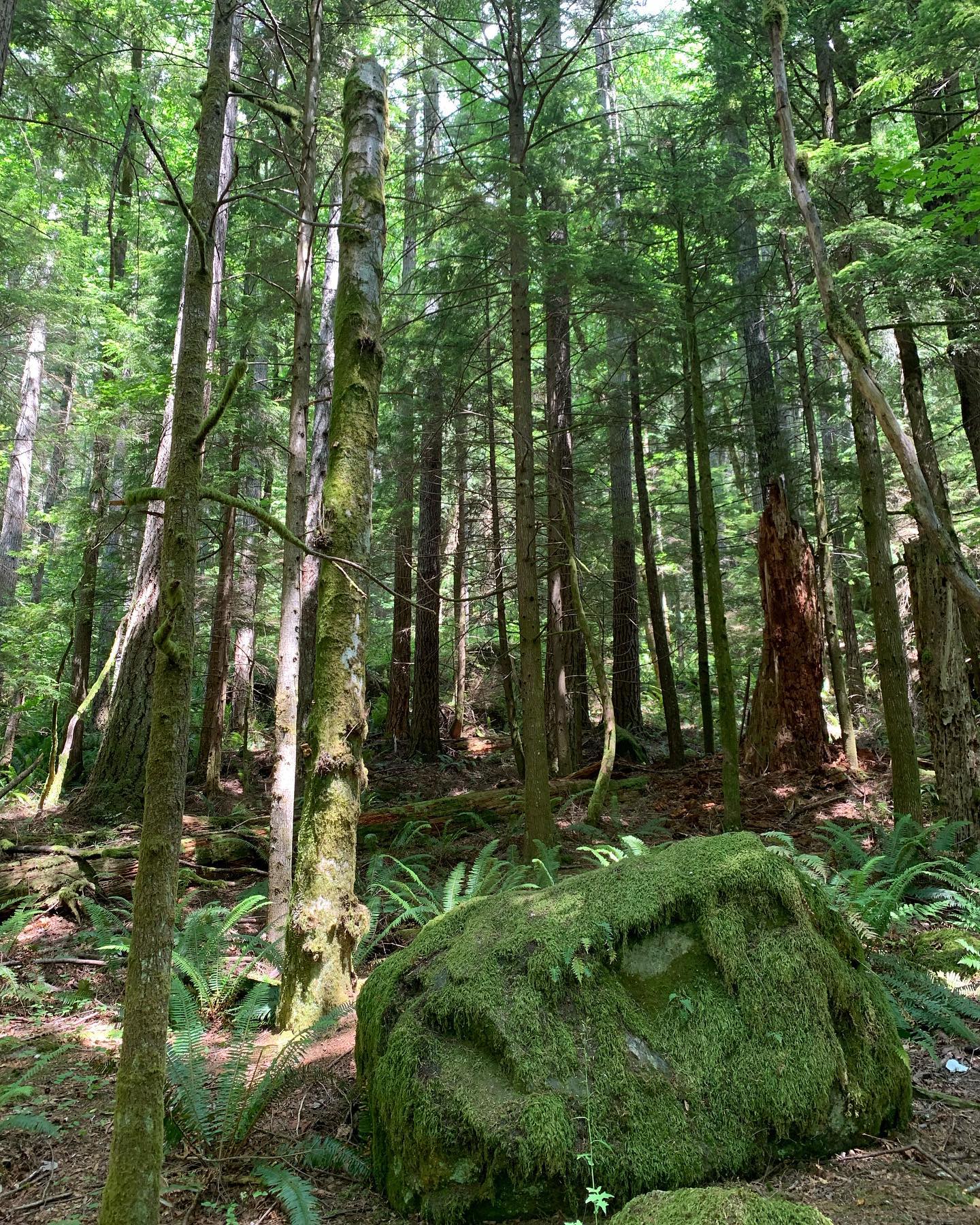 Mount Little Si 4, WA