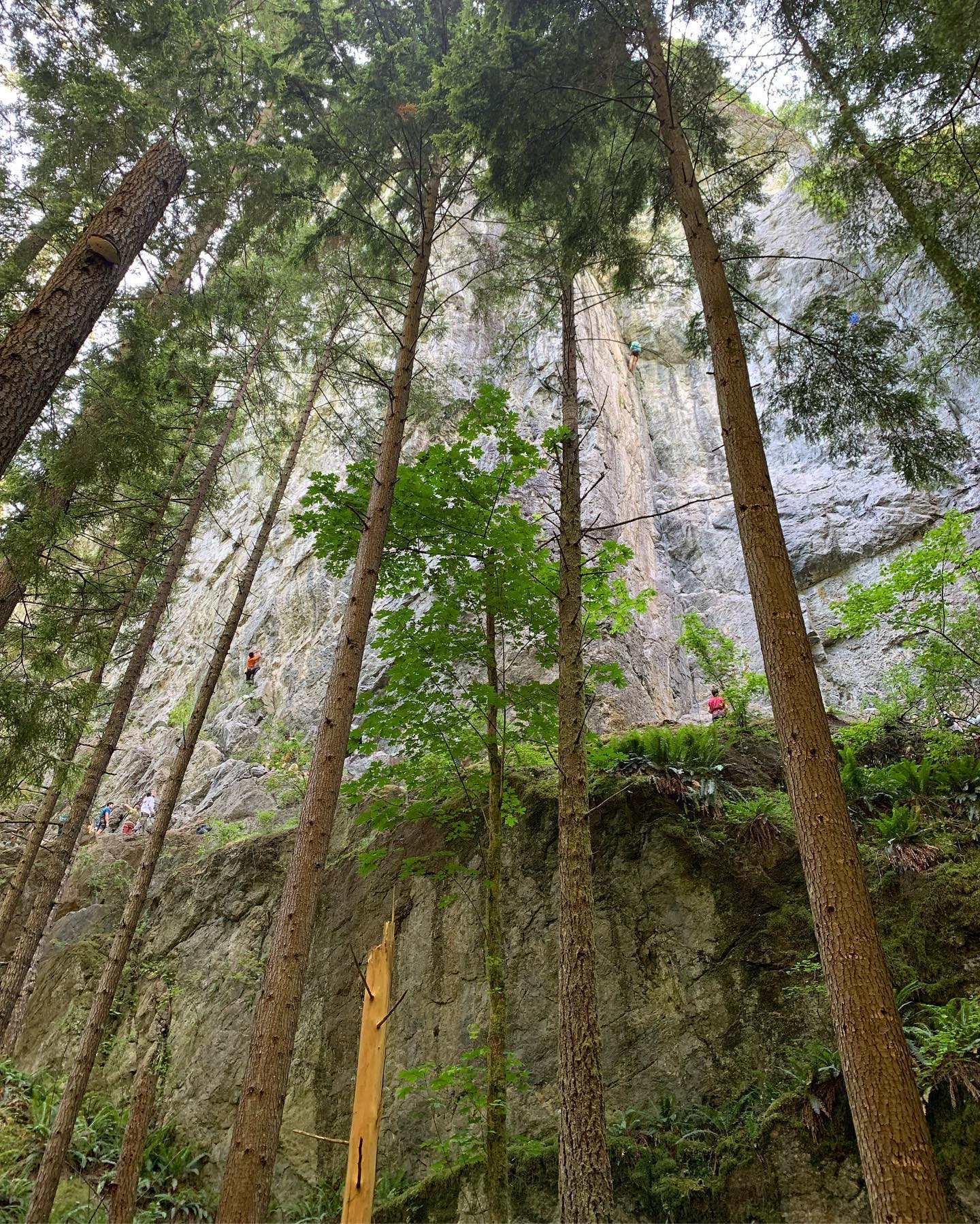 Mount Little Si 6, WA