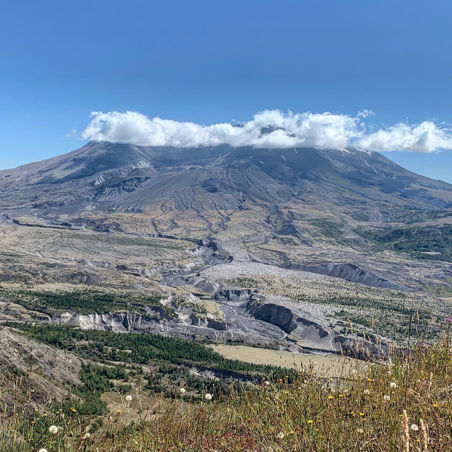mount-saint-helens-before-and-after-eruption 1