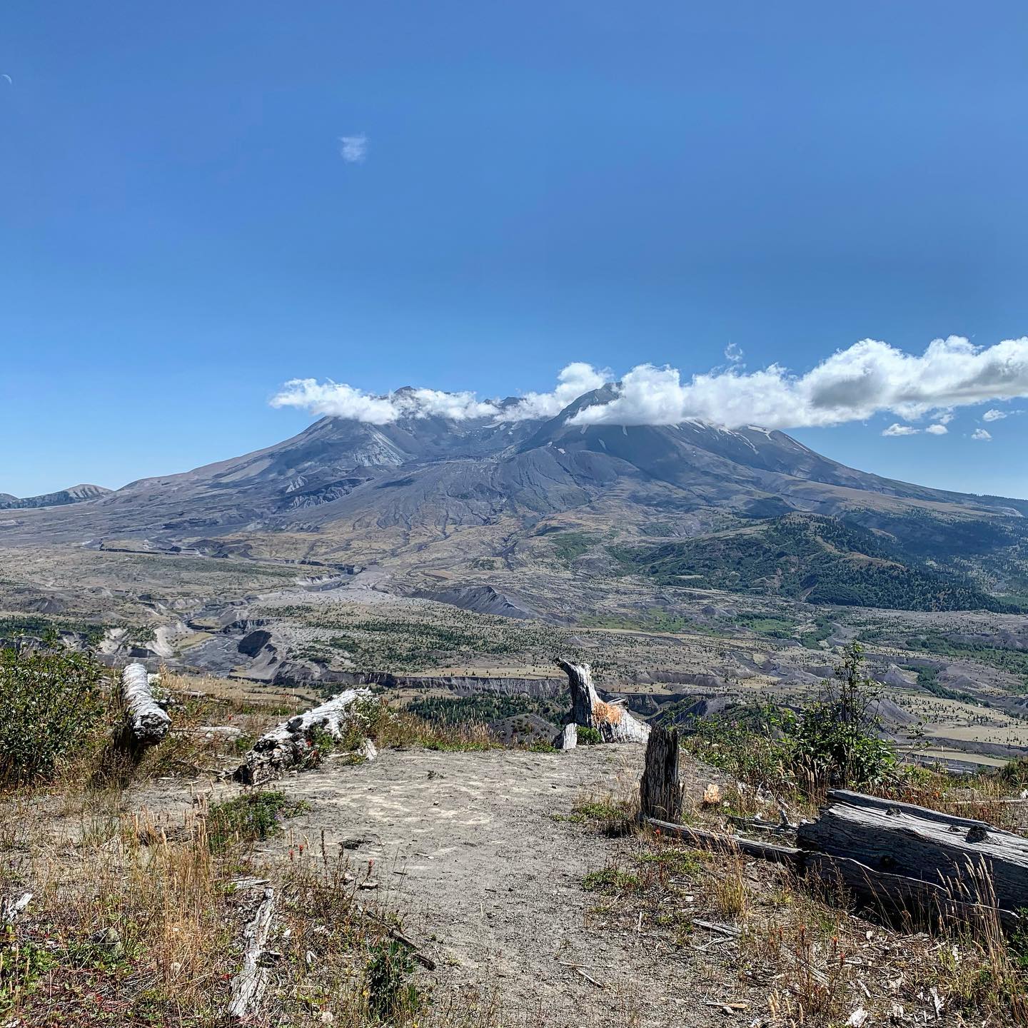 mount-saint-helens-before-and-after-eruption 3
