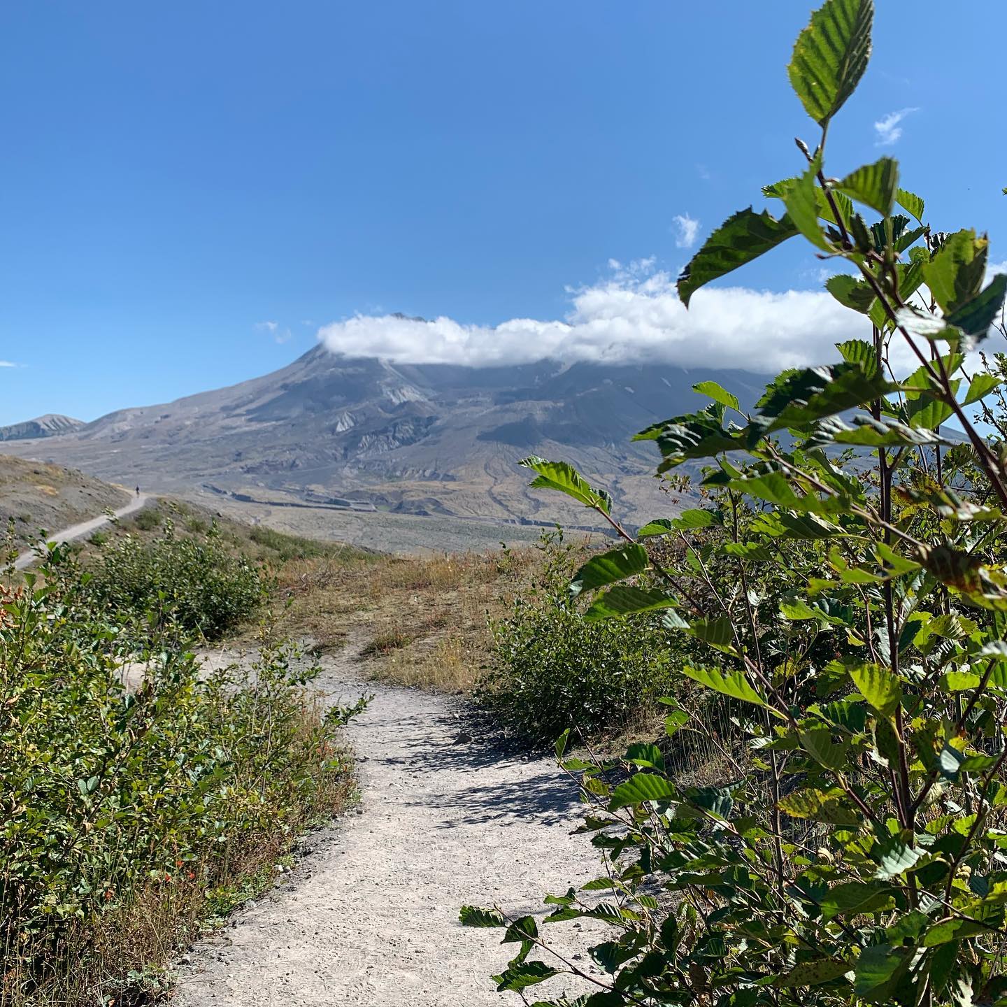 mount-saint-helens-before-and-after-eruption 5