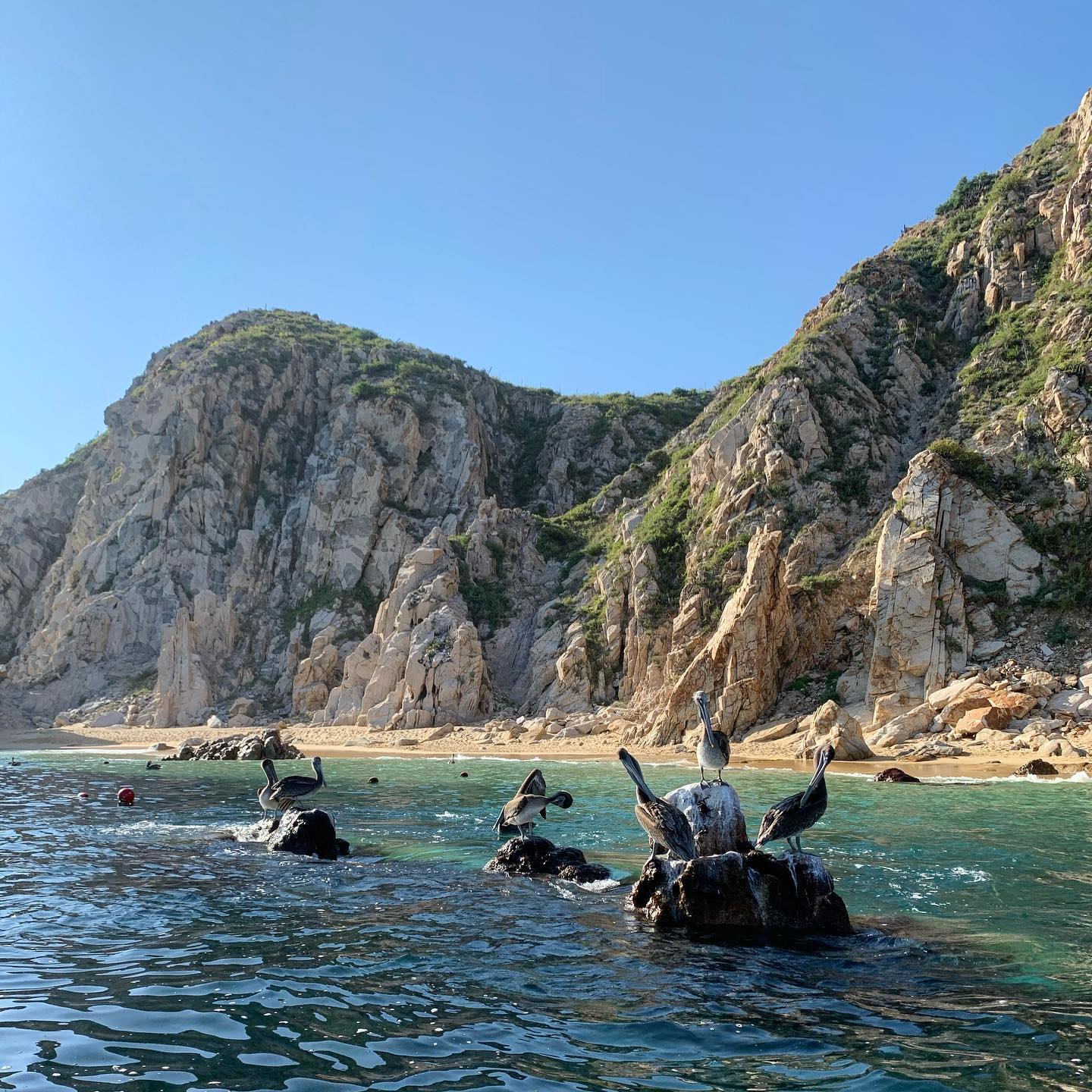 nature-of-cabo-san-lucas 1