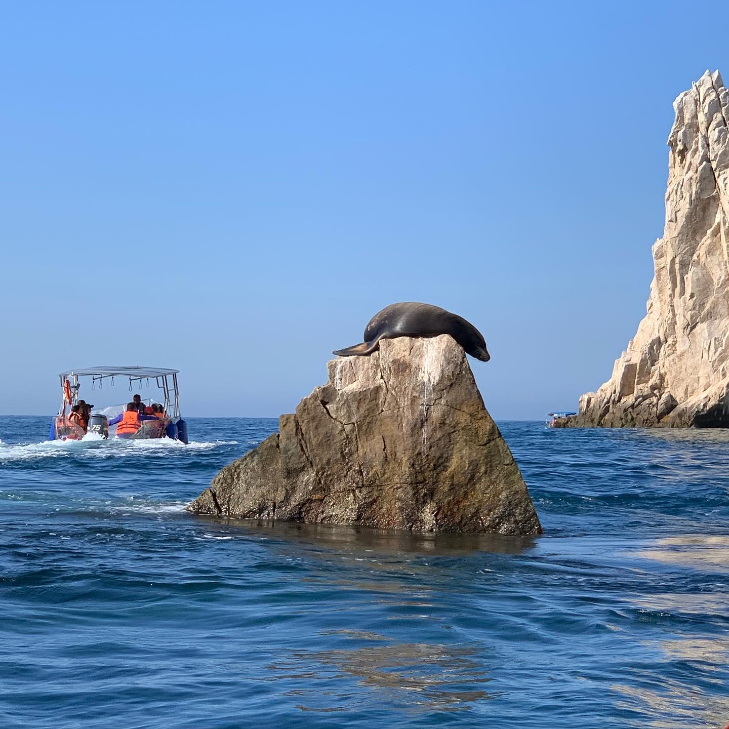 nature-of-cabo-san-lucas 6