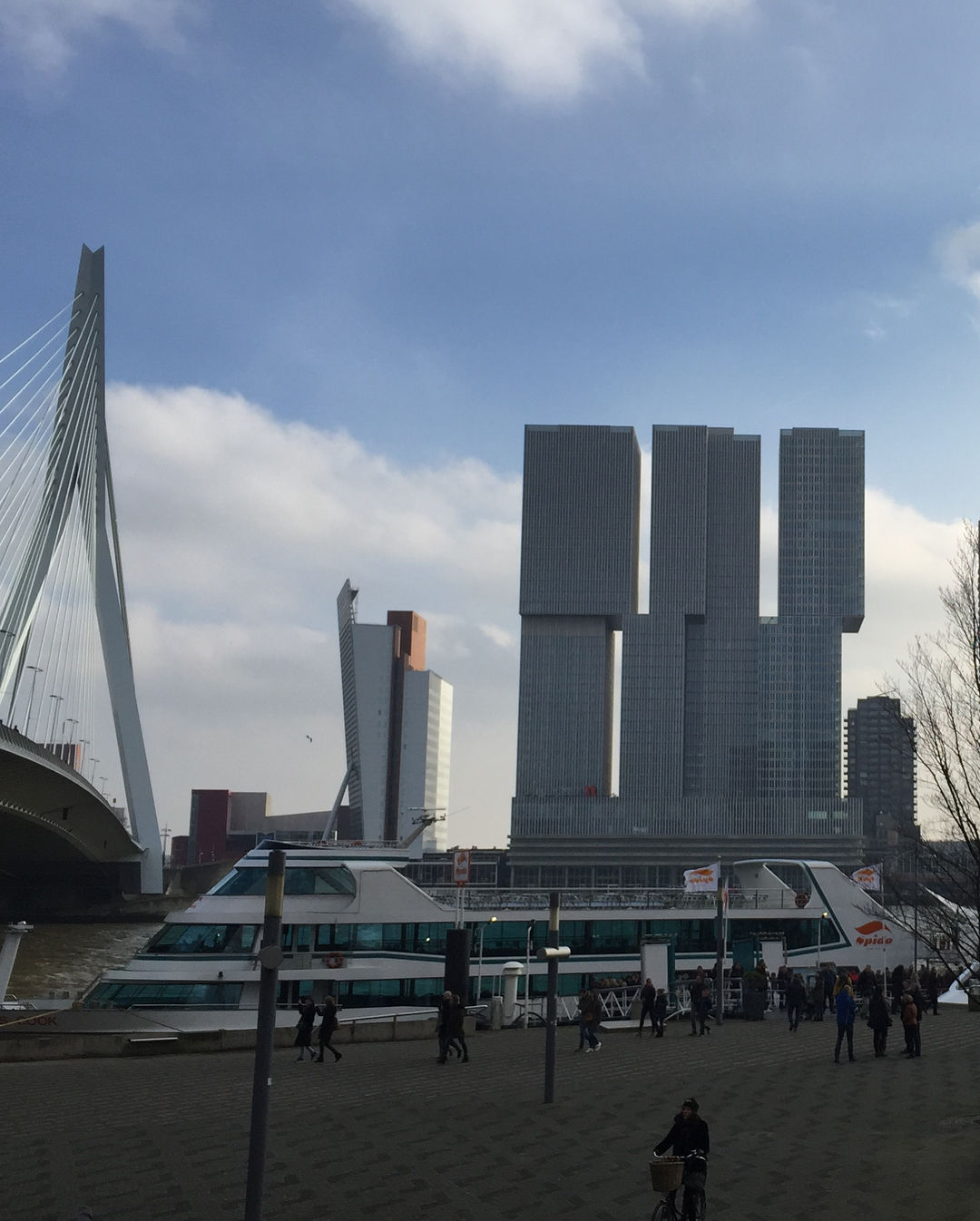 The Rotterdam