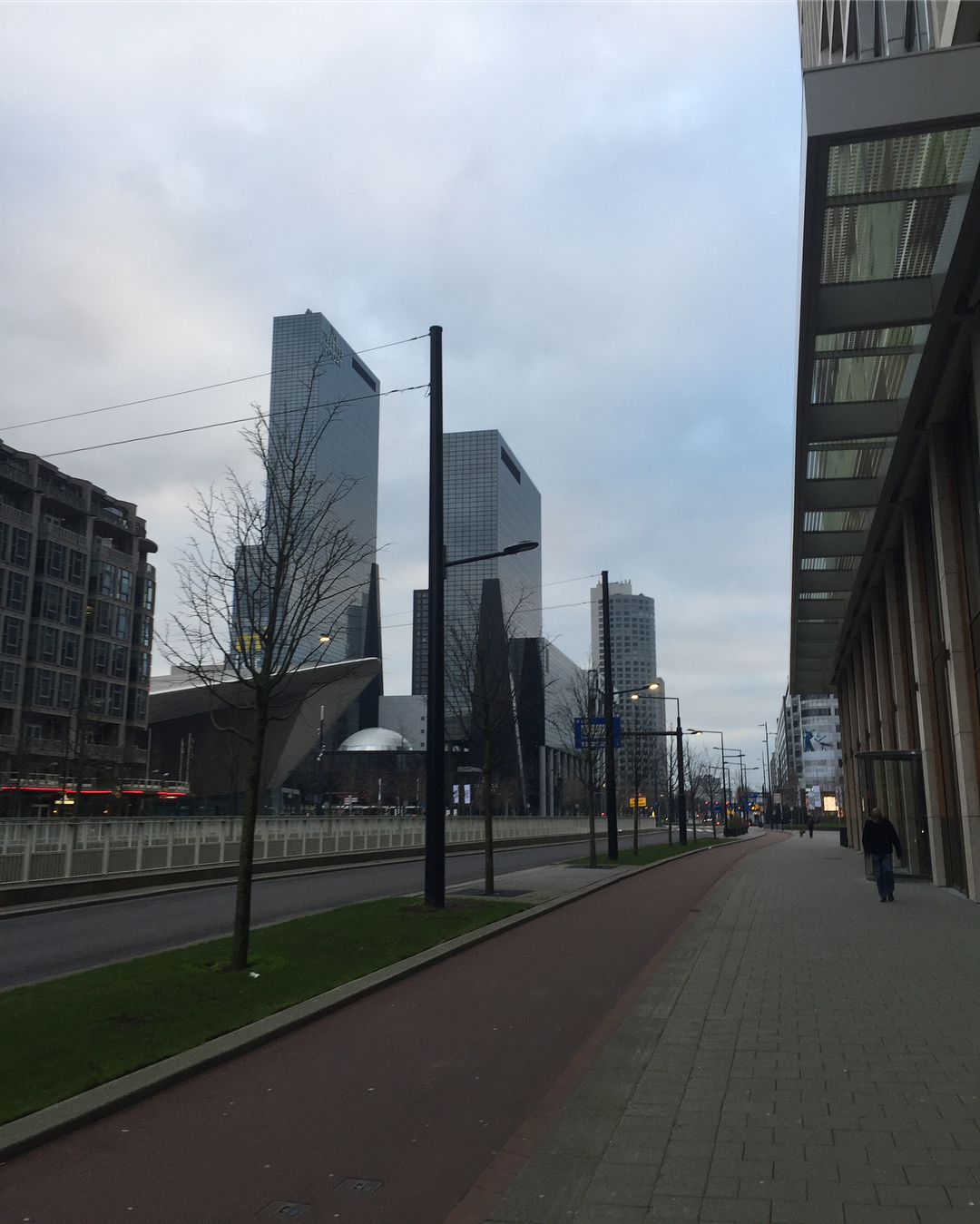 The Rotterdam street