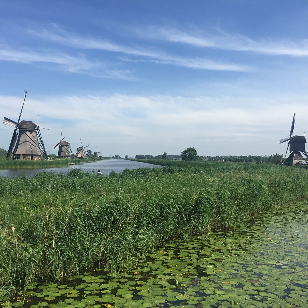 Kinderdijk mill 2