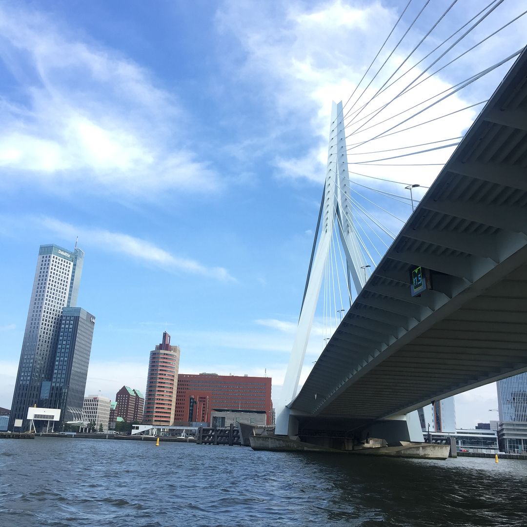 Rotterdam bridge