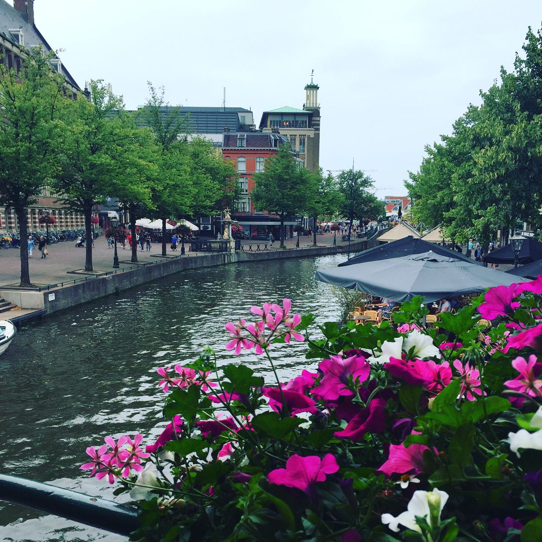 Leiden view from the bridge