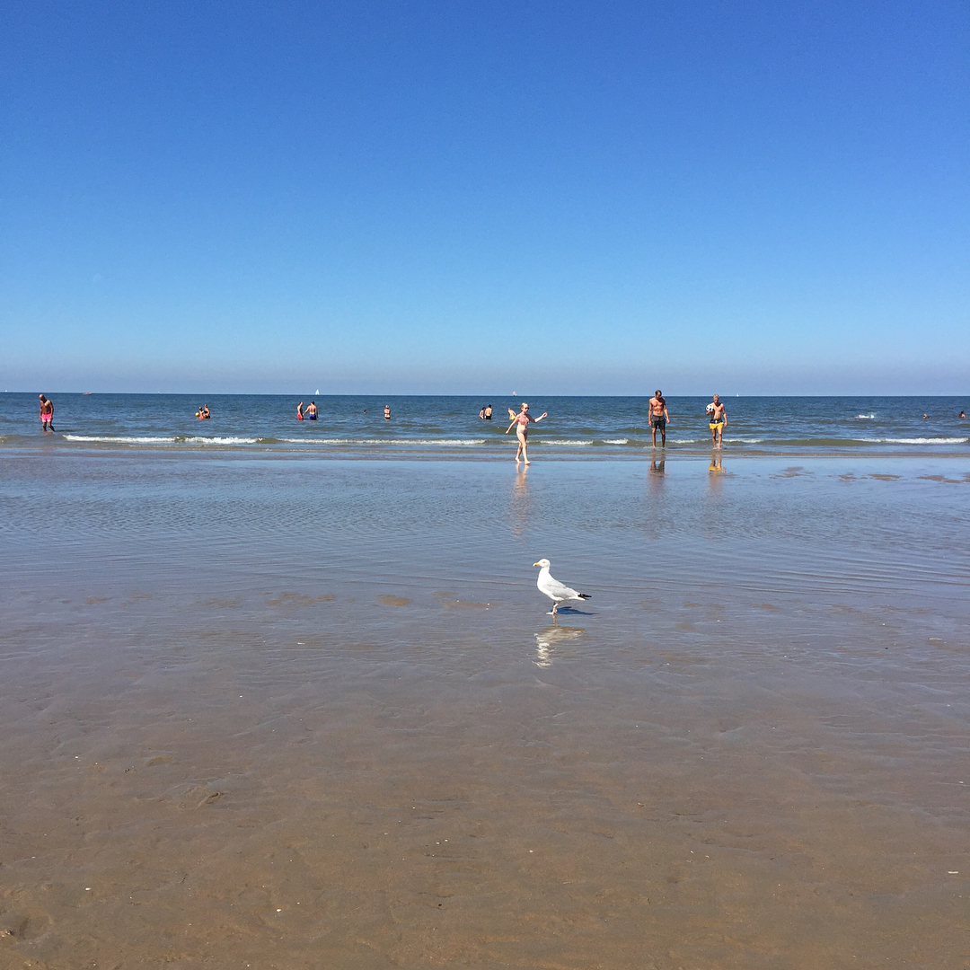 Zandvoort aan zee beach