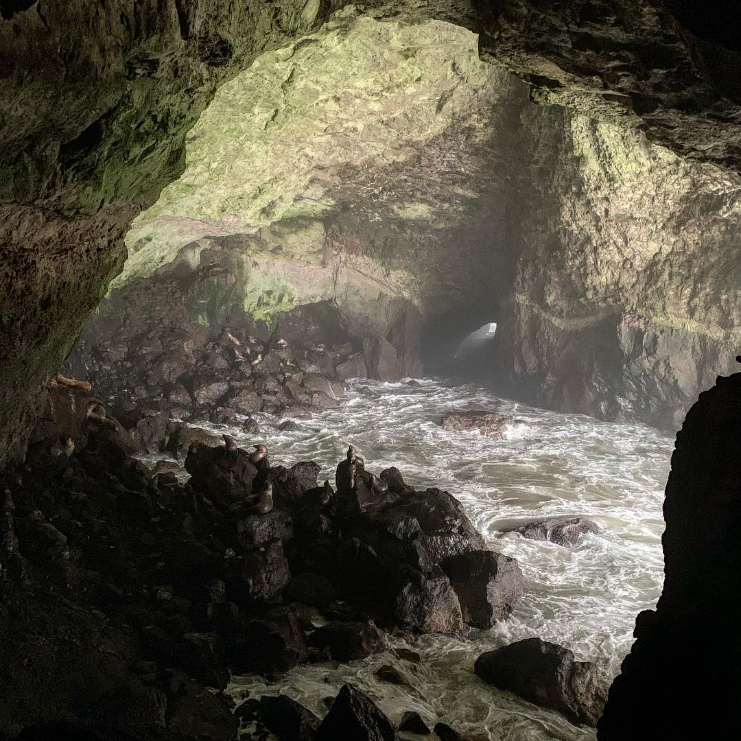 Sea Lions Cave, OR