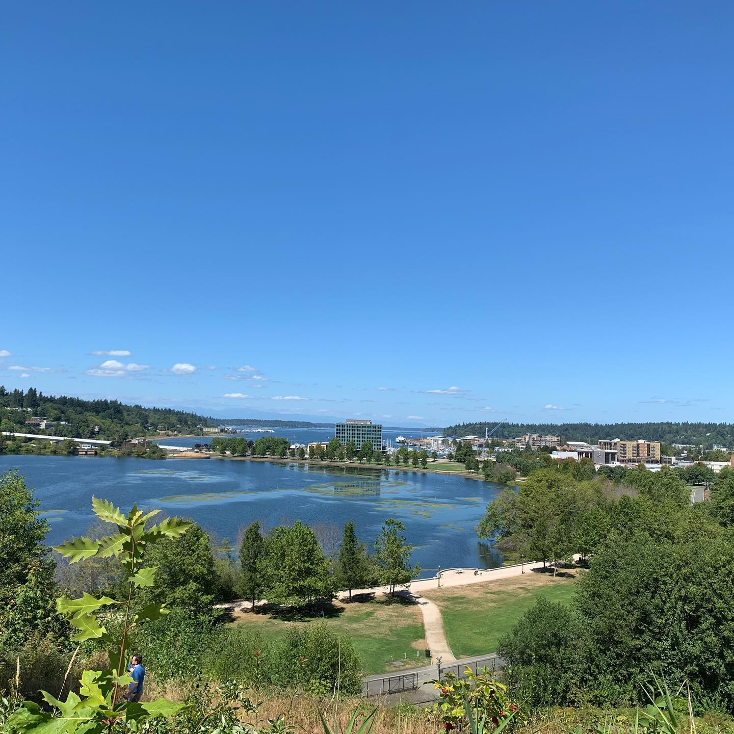 olympia-is-the-capital-city-of-the-us-state-of-washington 3