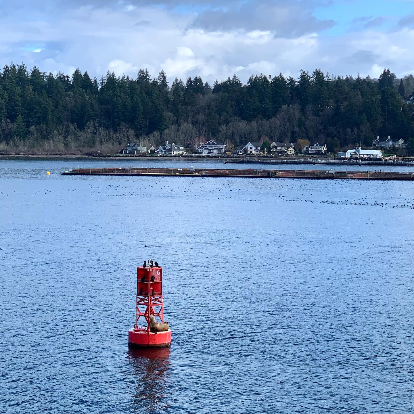 Port Angeles Harbor, WA 1