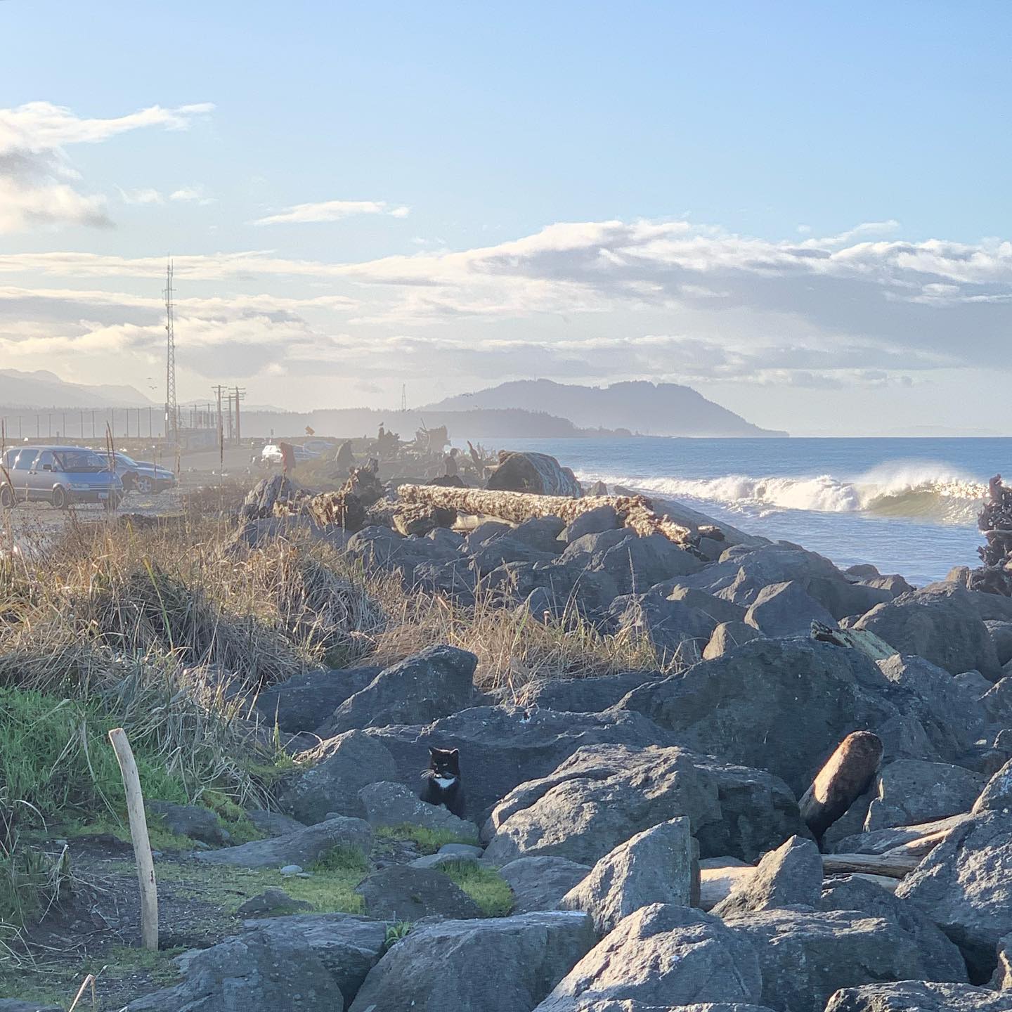 Port Angeles Harbor, WA 2