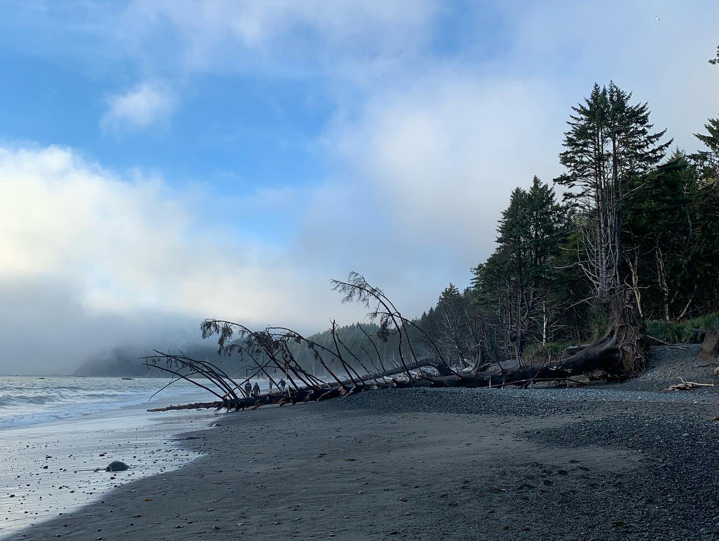 rialto-beach-olympic-peninsula 3