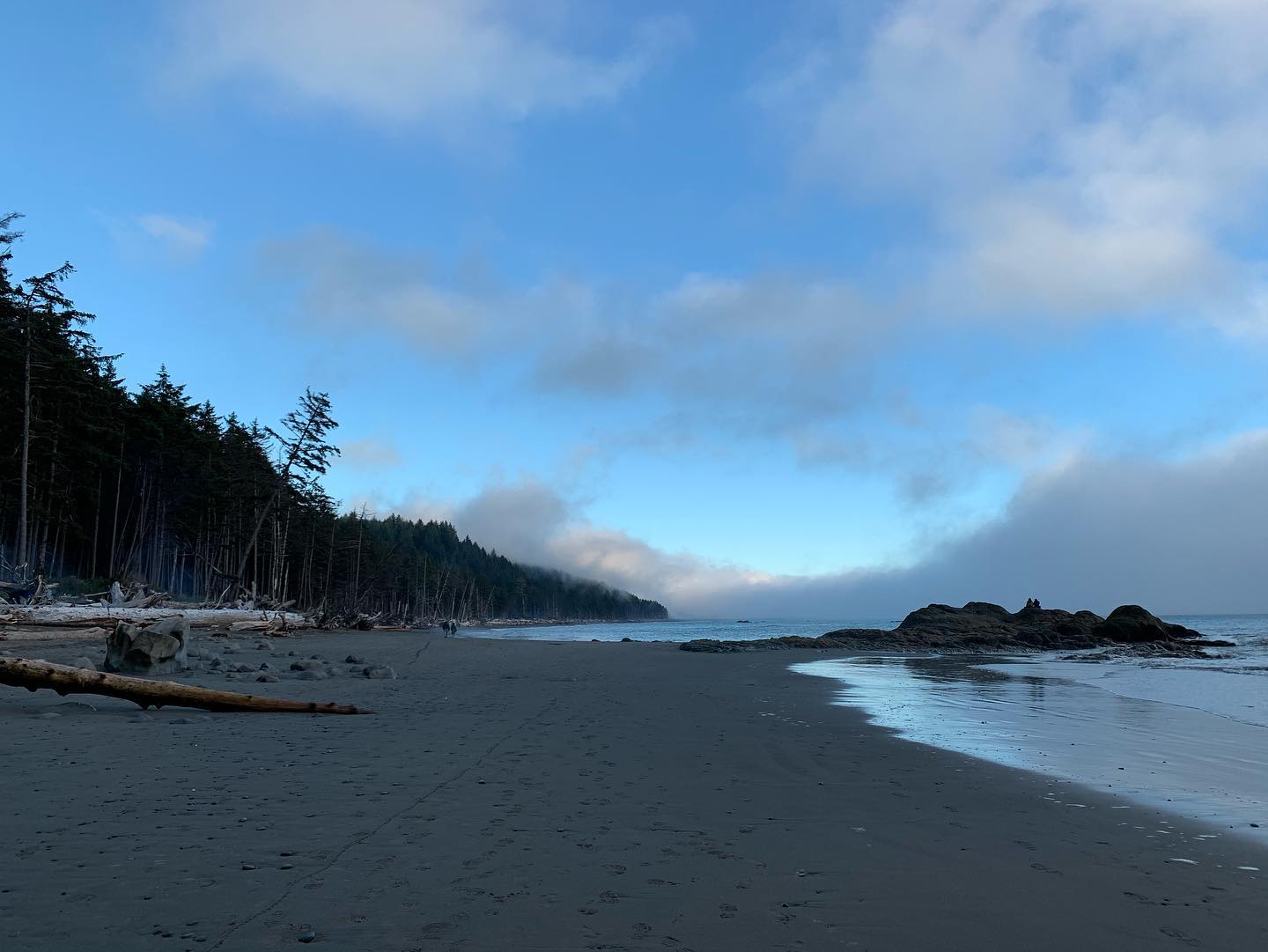 rialto-beach-olympic-peninsula 4