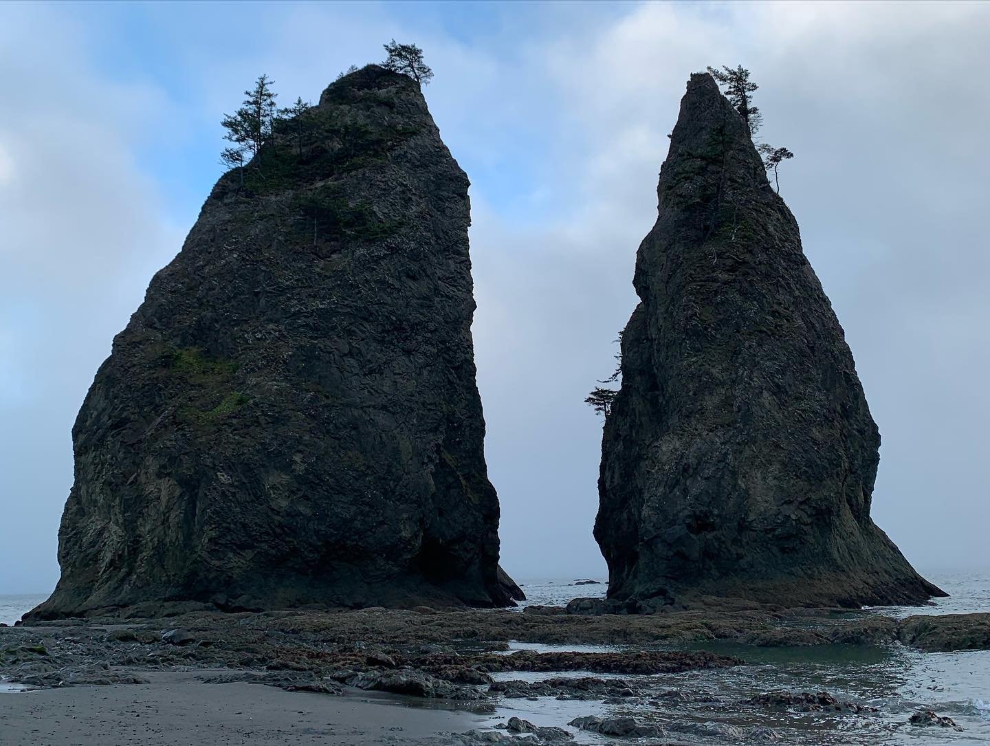 rialto-beach-olympic-peninsula 5