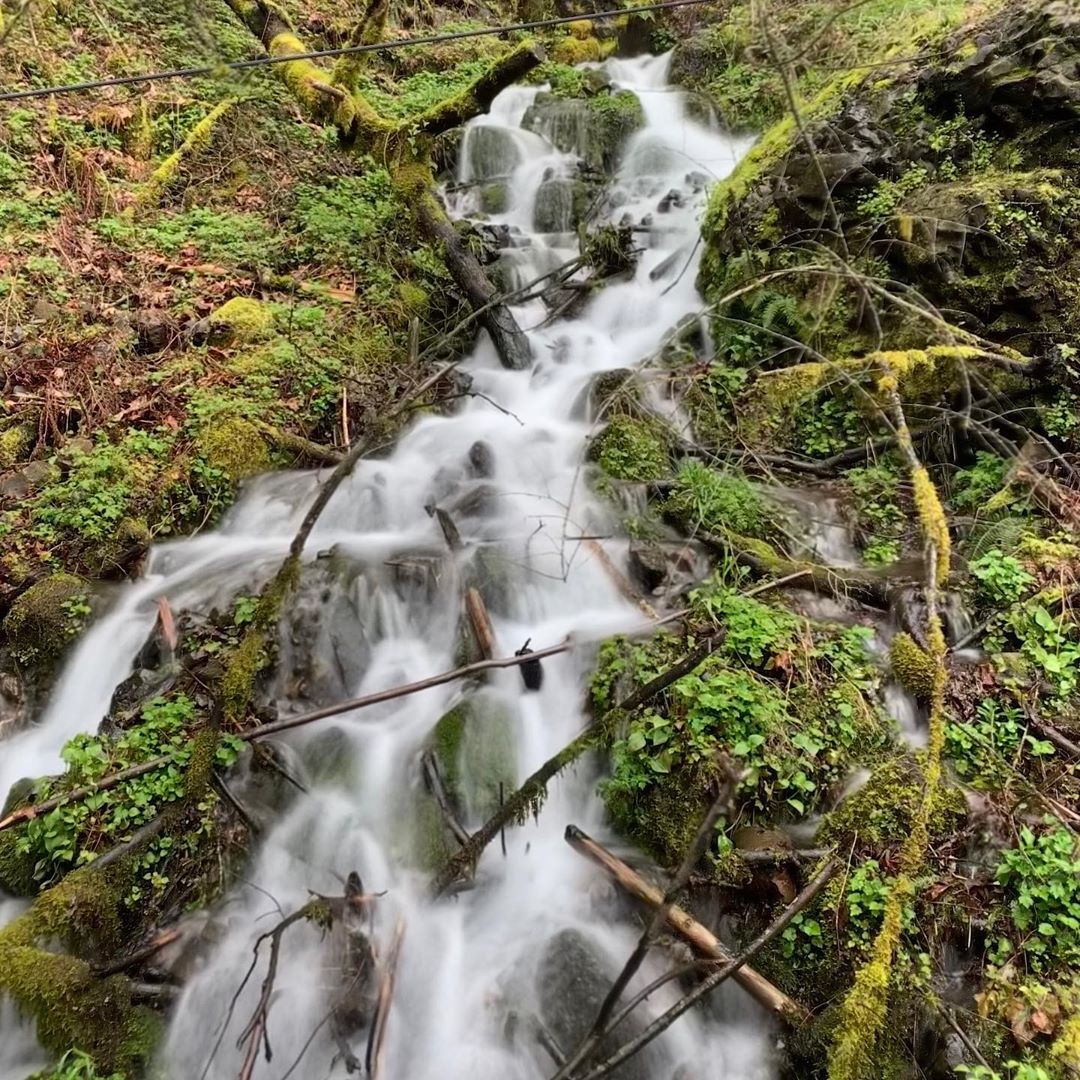 Multhomah Falls stream, OR