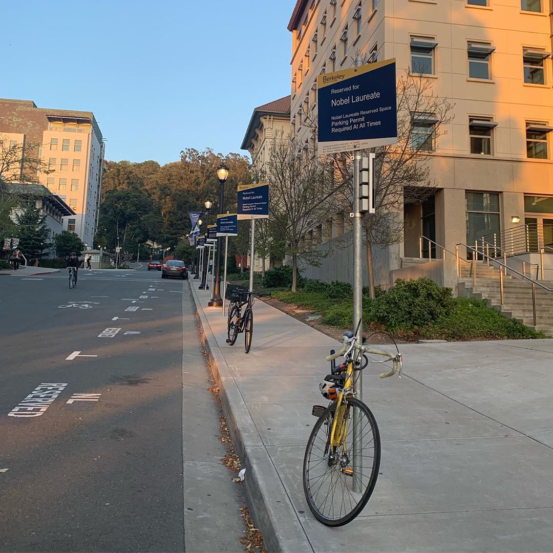 Berkeley bikes