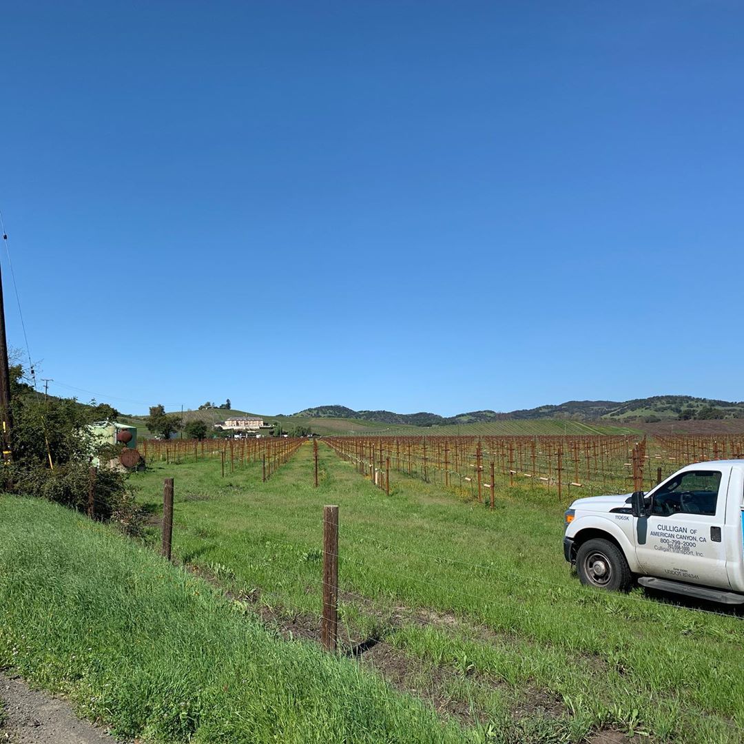 Napa Valley Fields