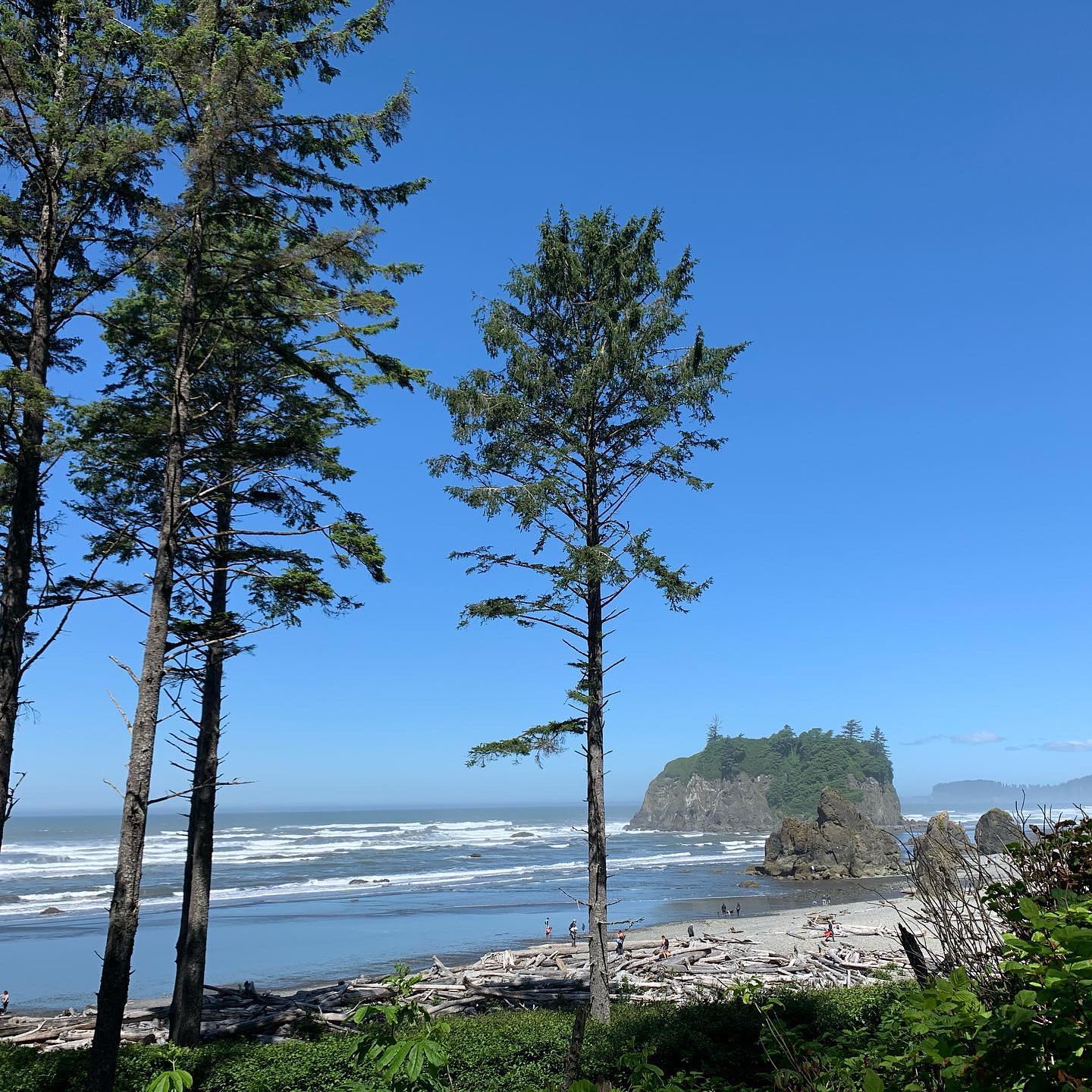 ruby-beach-olympic-peninsula 3