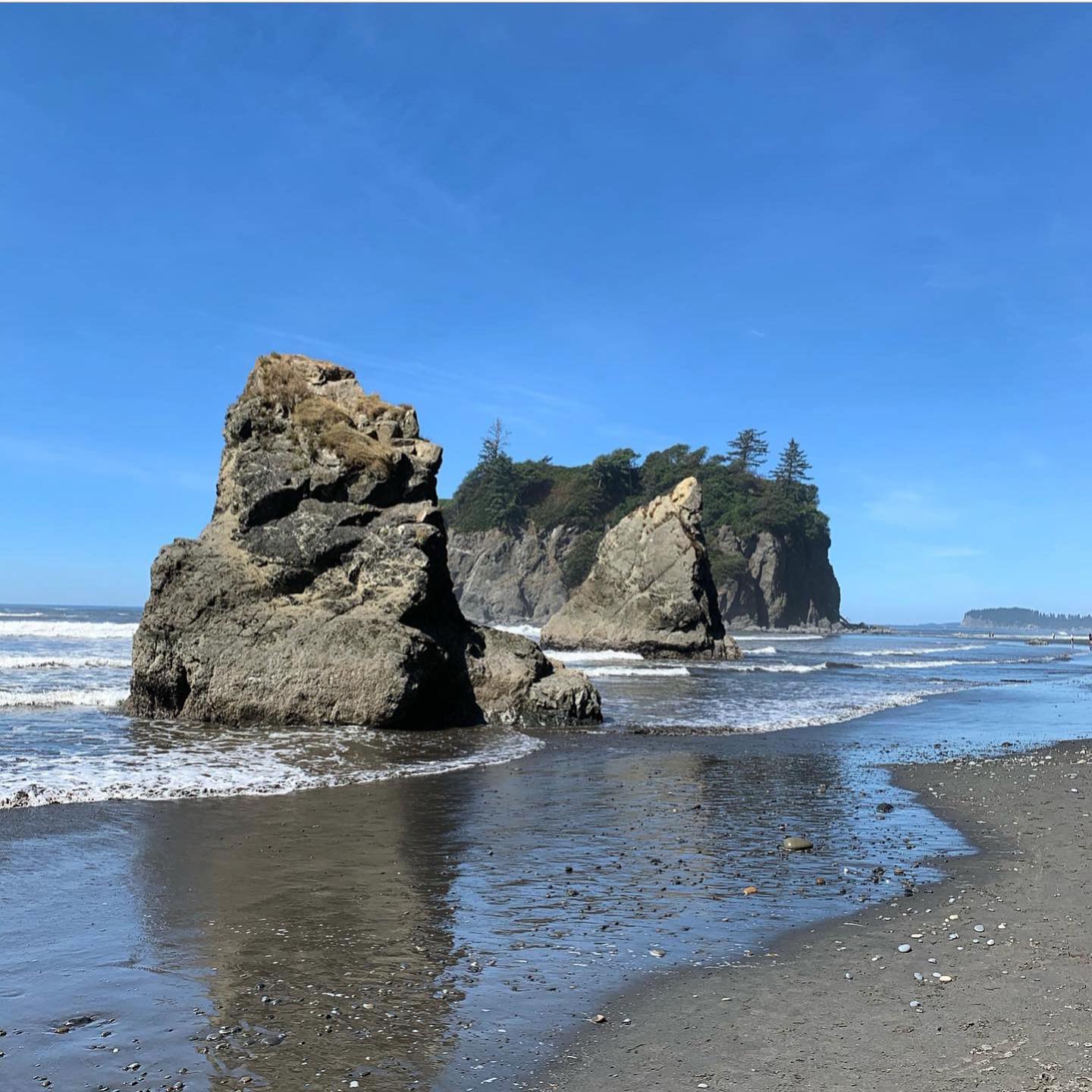 ruby-beach-olympic-peninsula 6