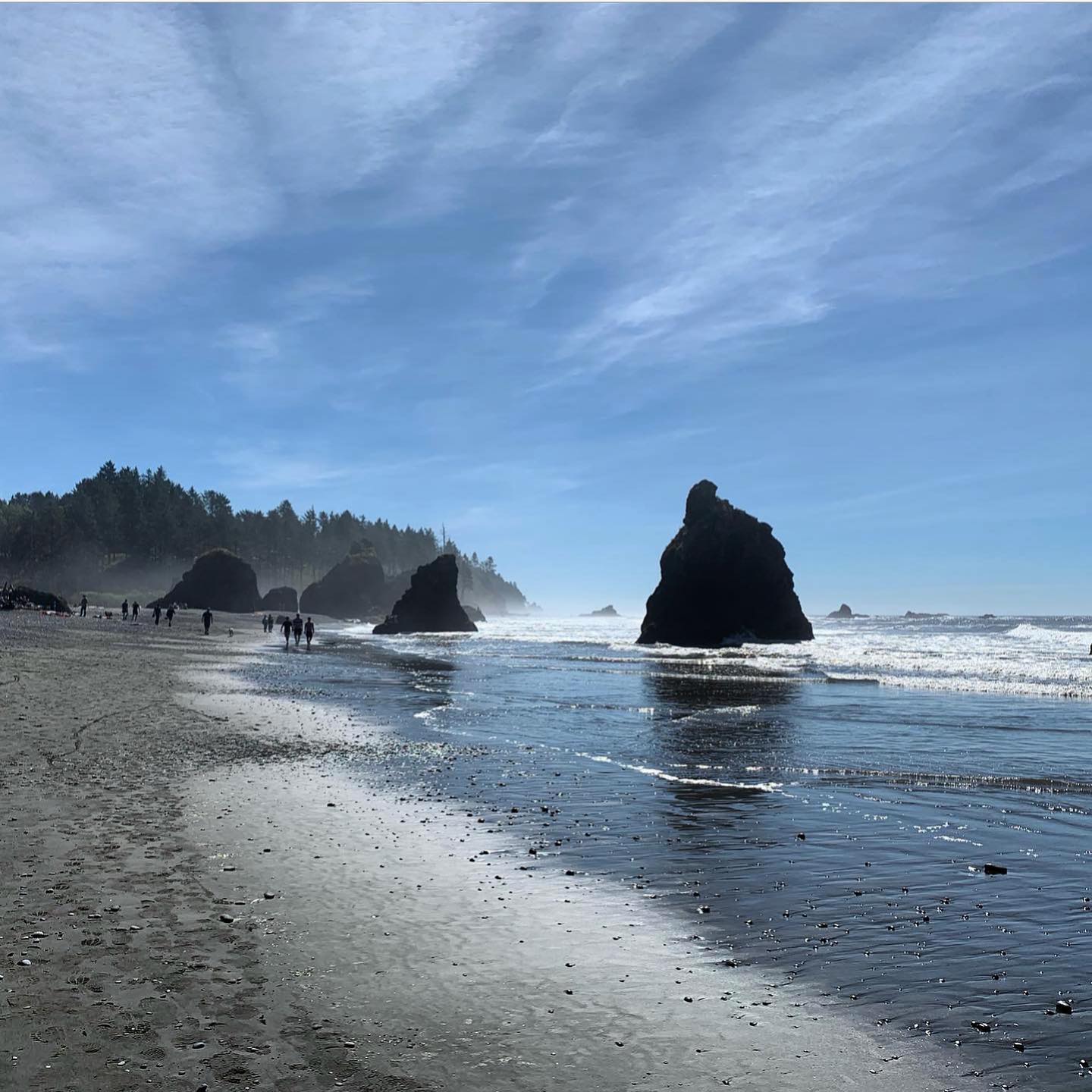 ruby-beach-olympic-peninsula 7