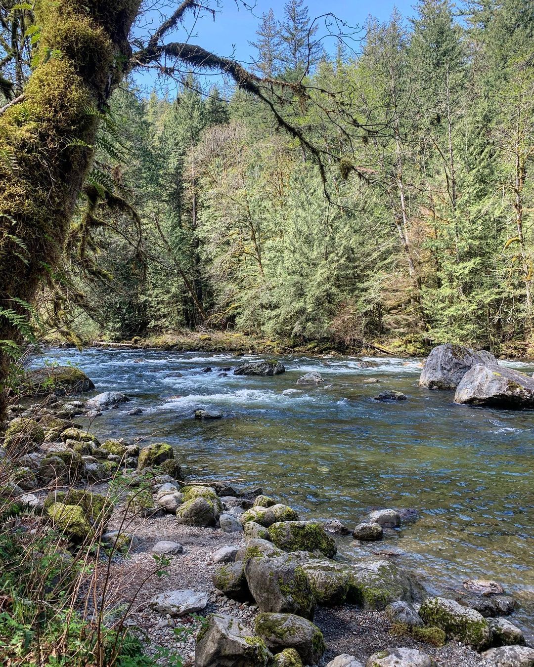 Snoqualmie River, WA