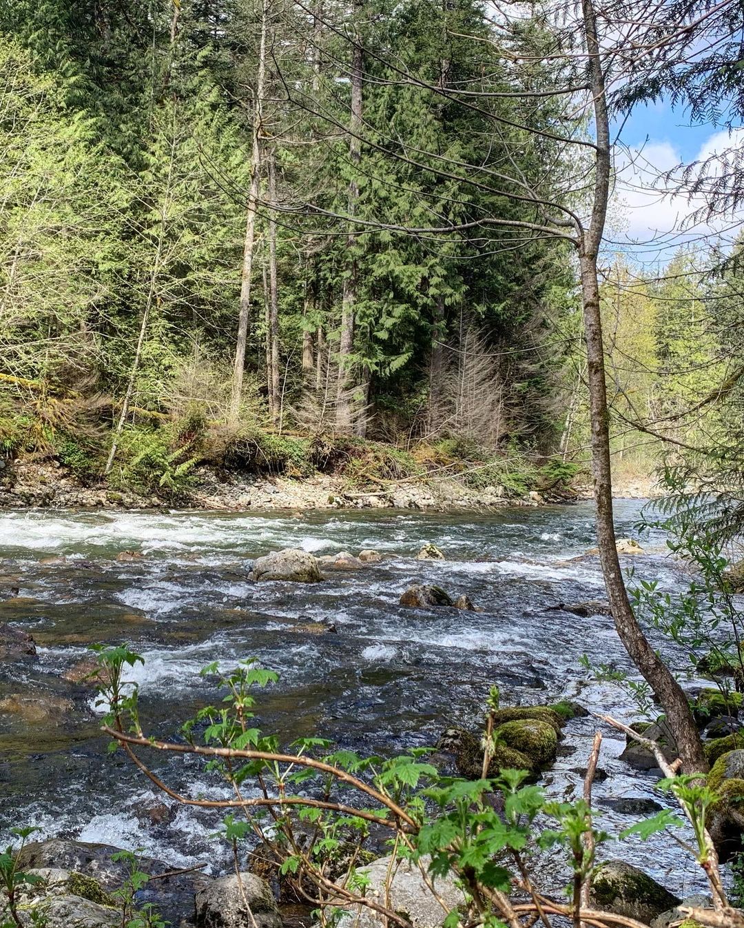 Snoqualmie River, WA