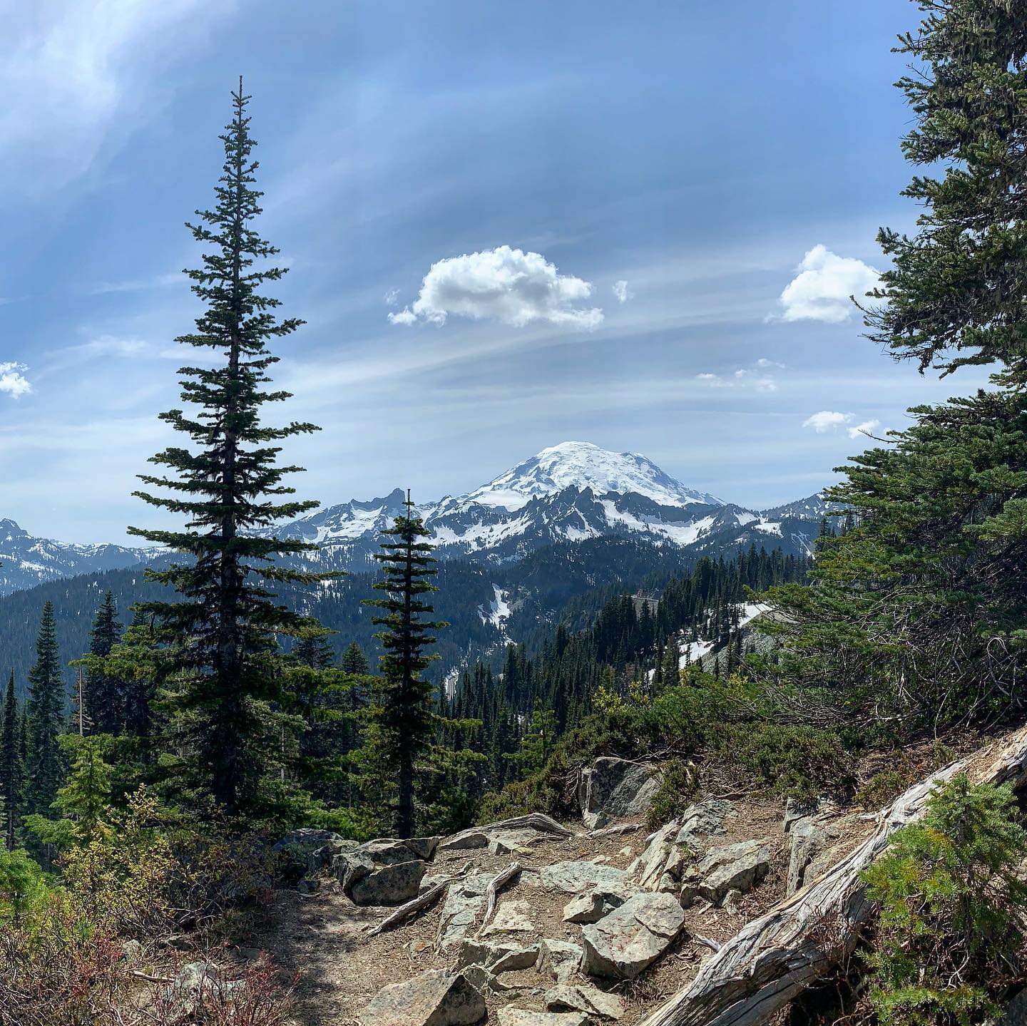 Mount Rainer, WA