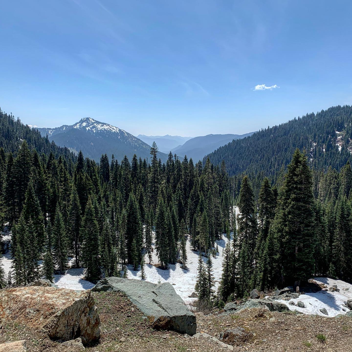 Mount Rainer view, WA