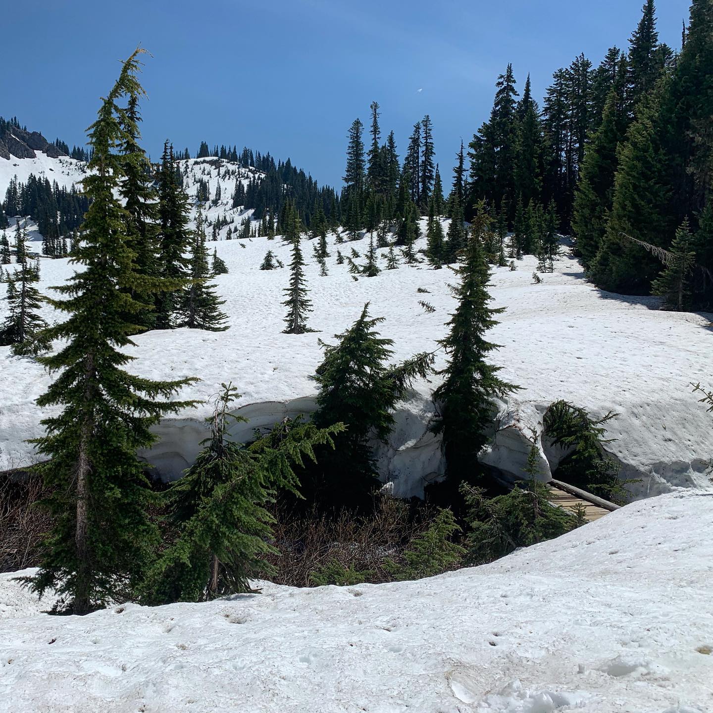 Tipsoo Lake, WA