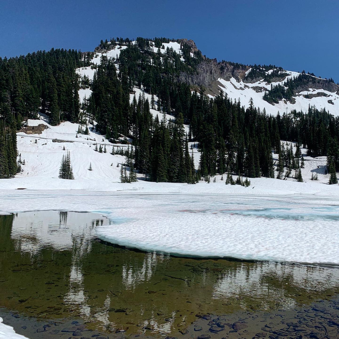 Tipsoo Lake view 2, WA