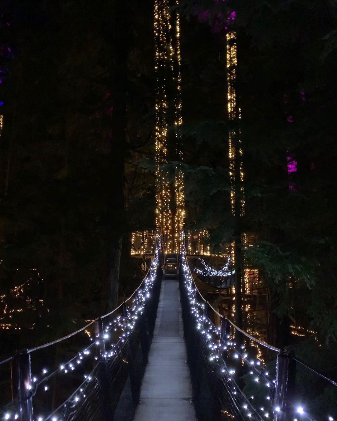 North Vancouver BC at night, Canada 6