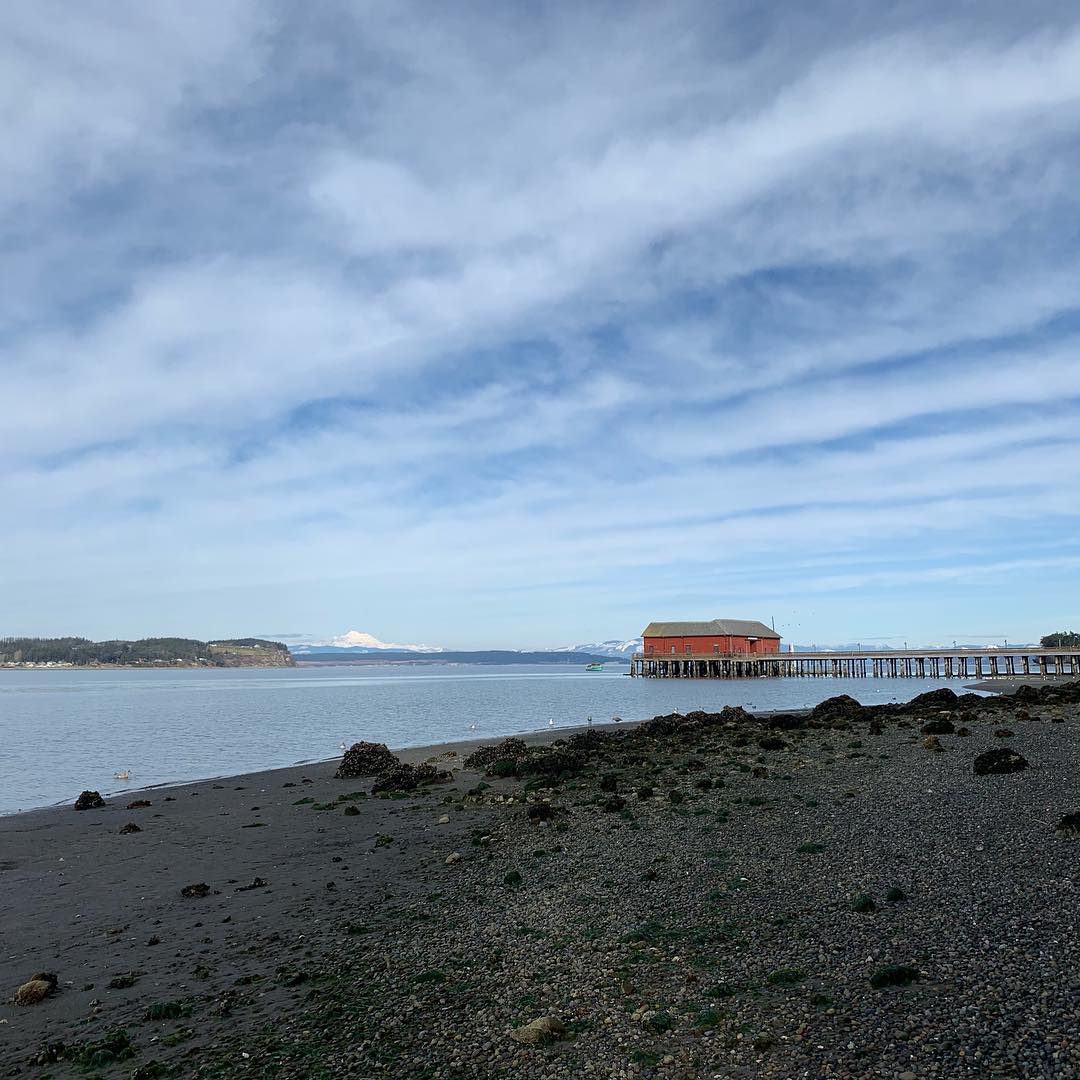 Whidbey Island beach 3